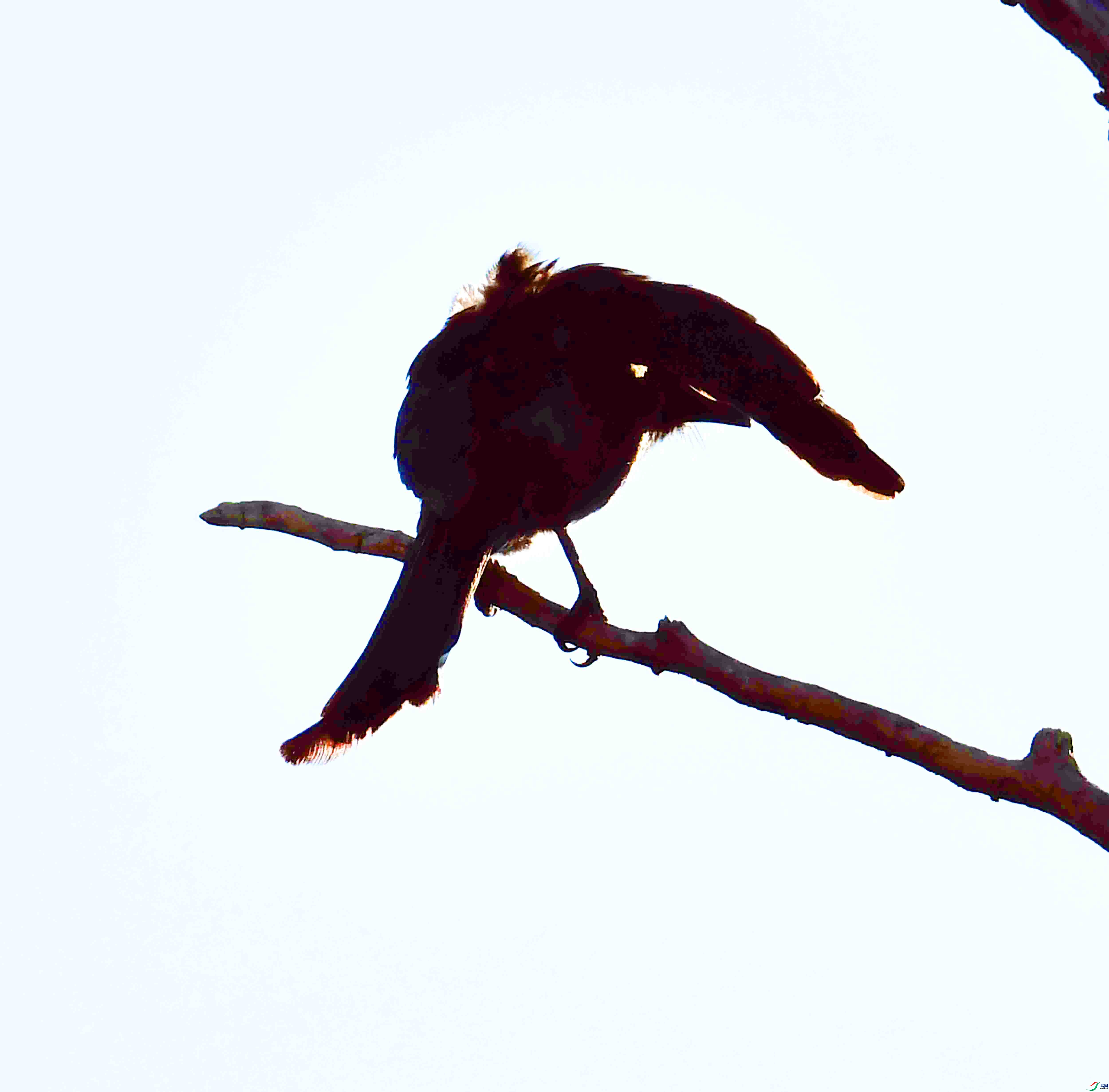 DSC_9216.JPG