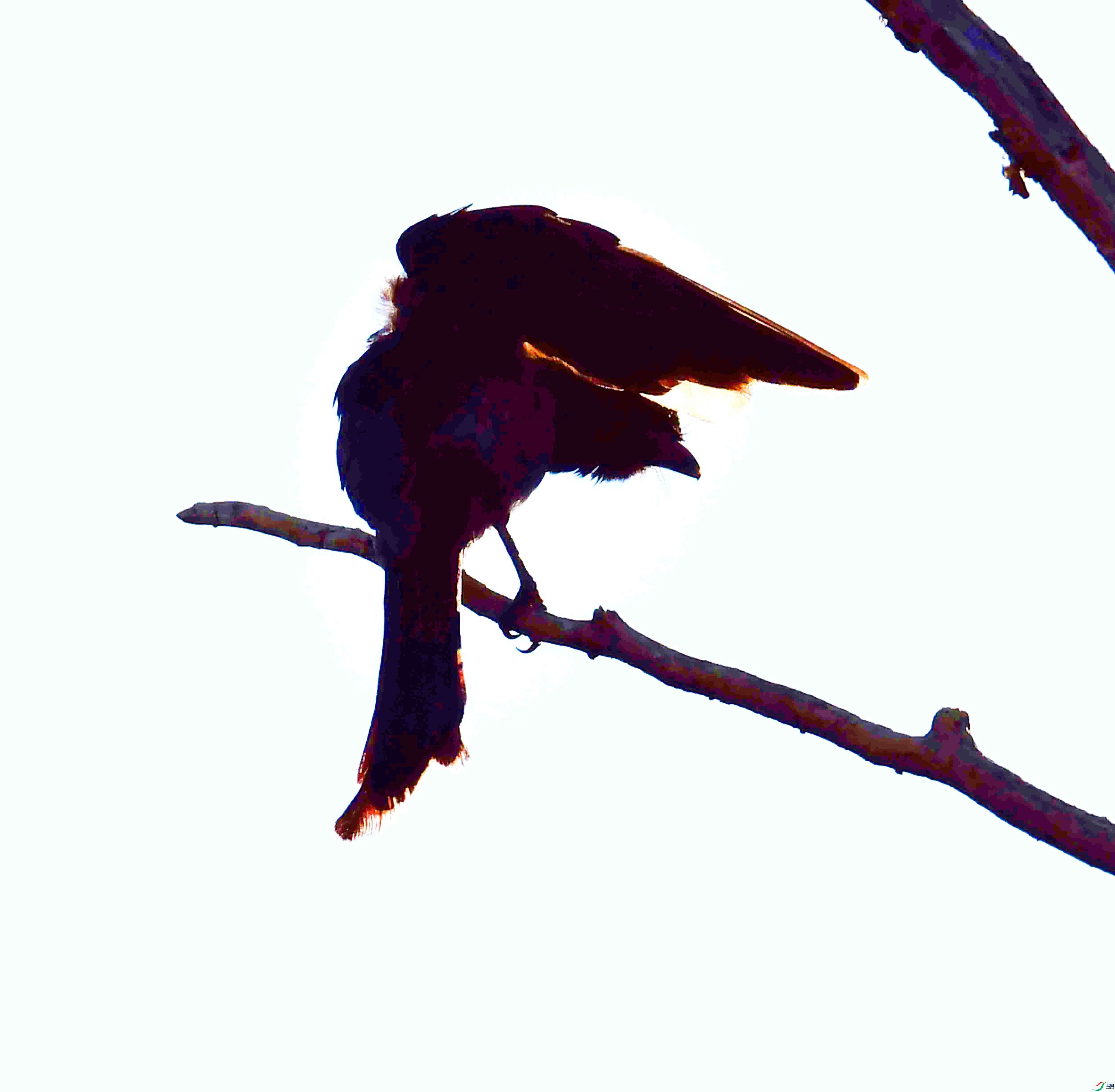 DSC_9218.JPG