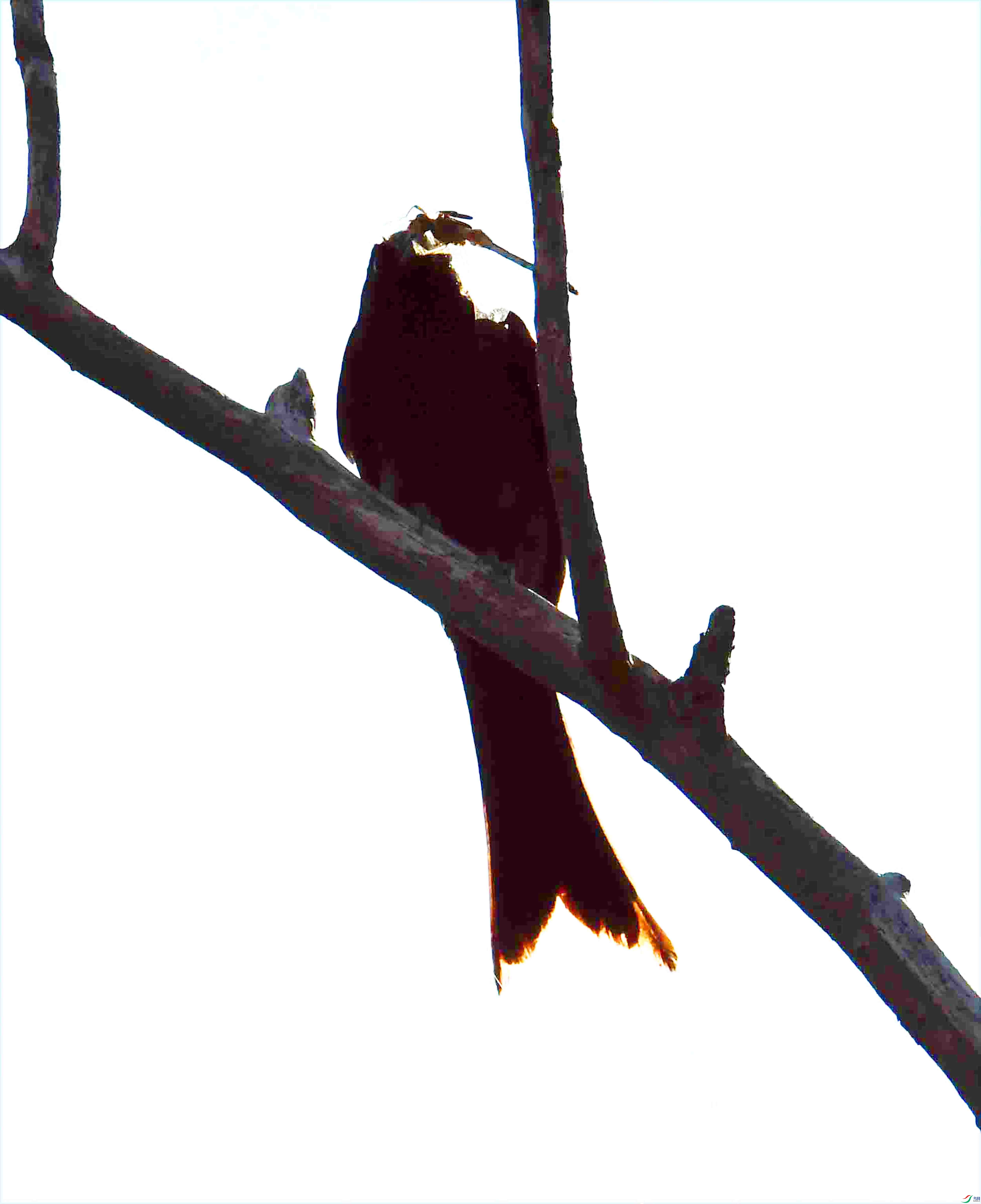 DSC_9301.JPG