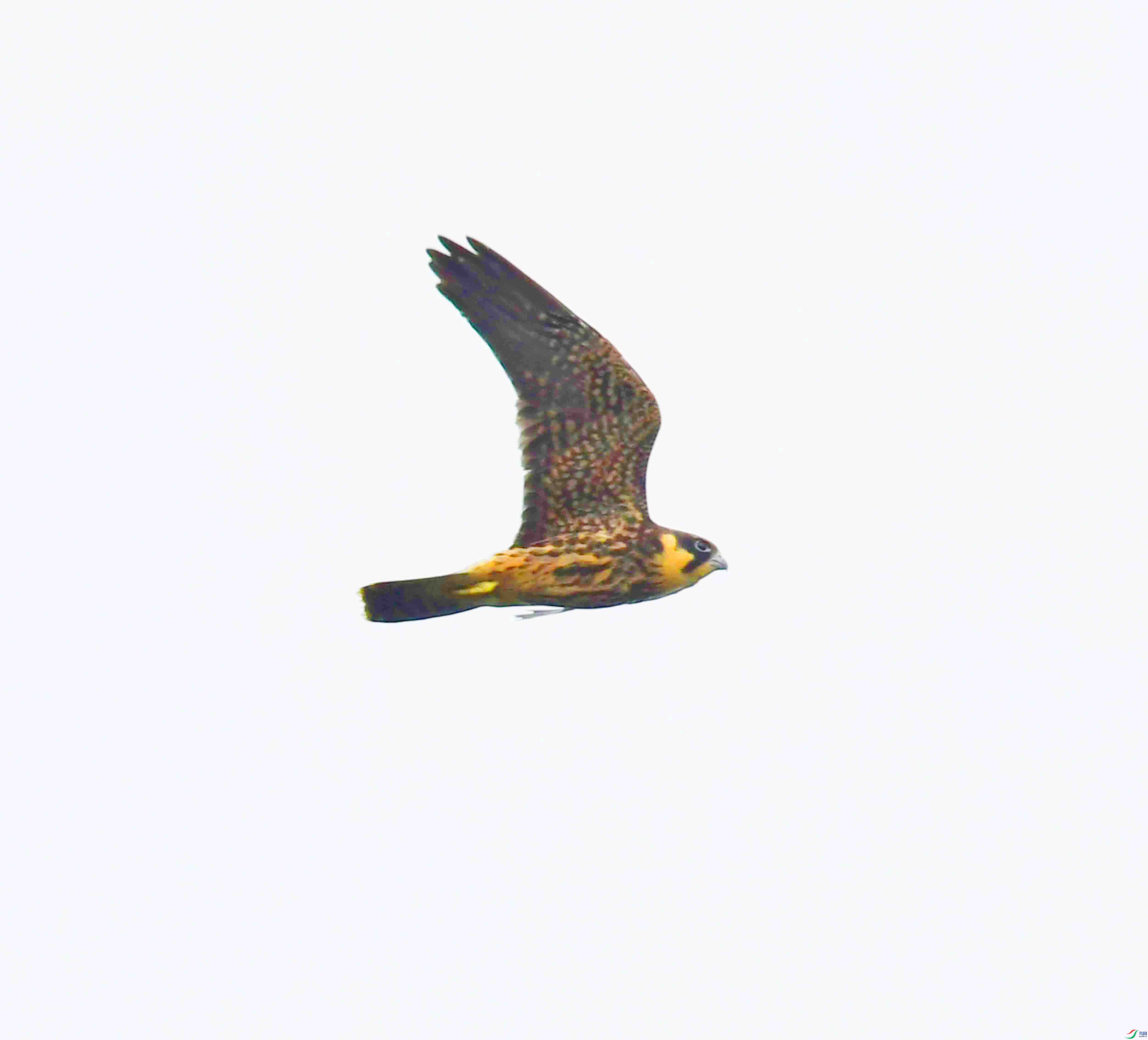 DSC_3642.JPG