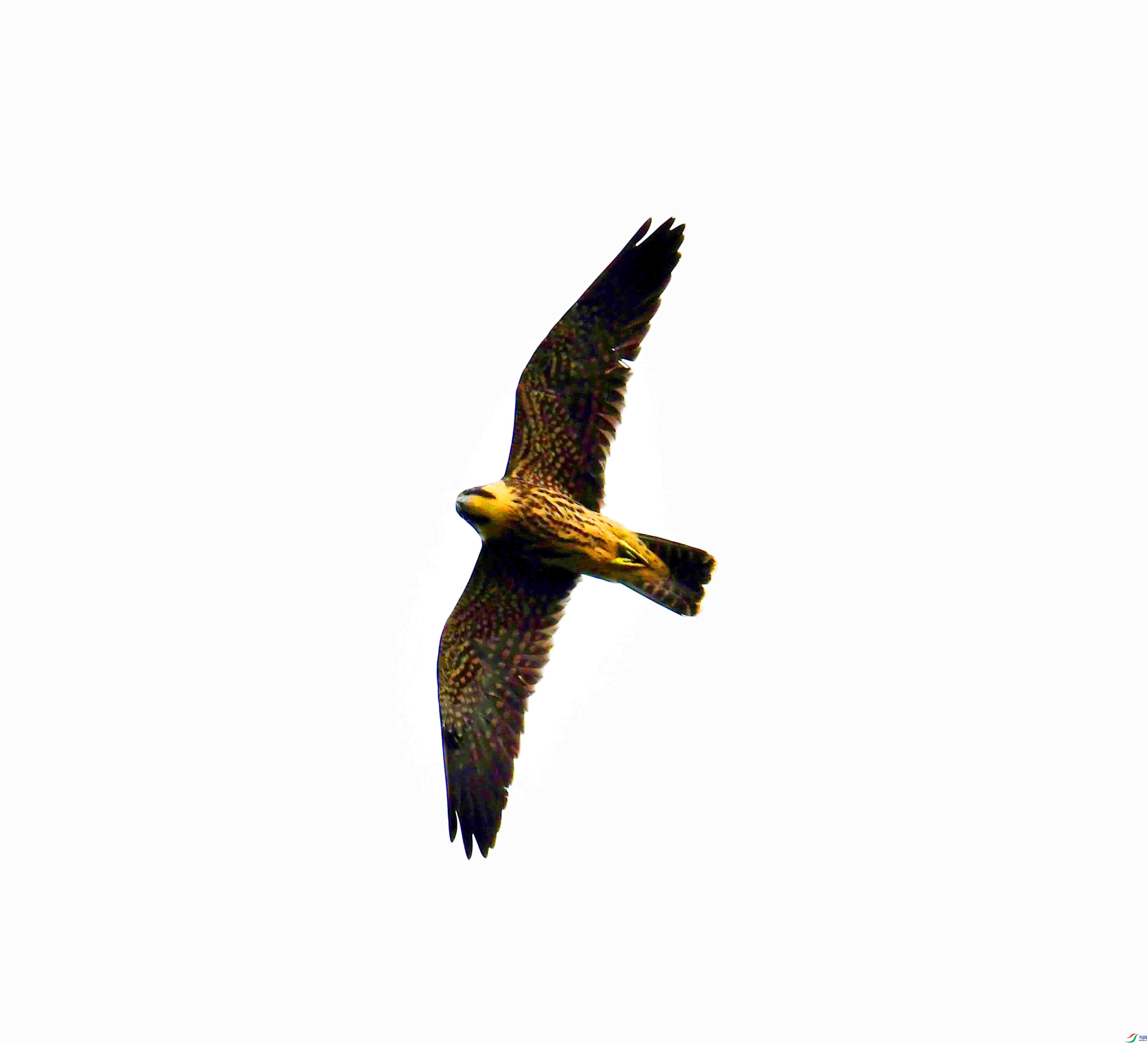 DSC_3715.JPG