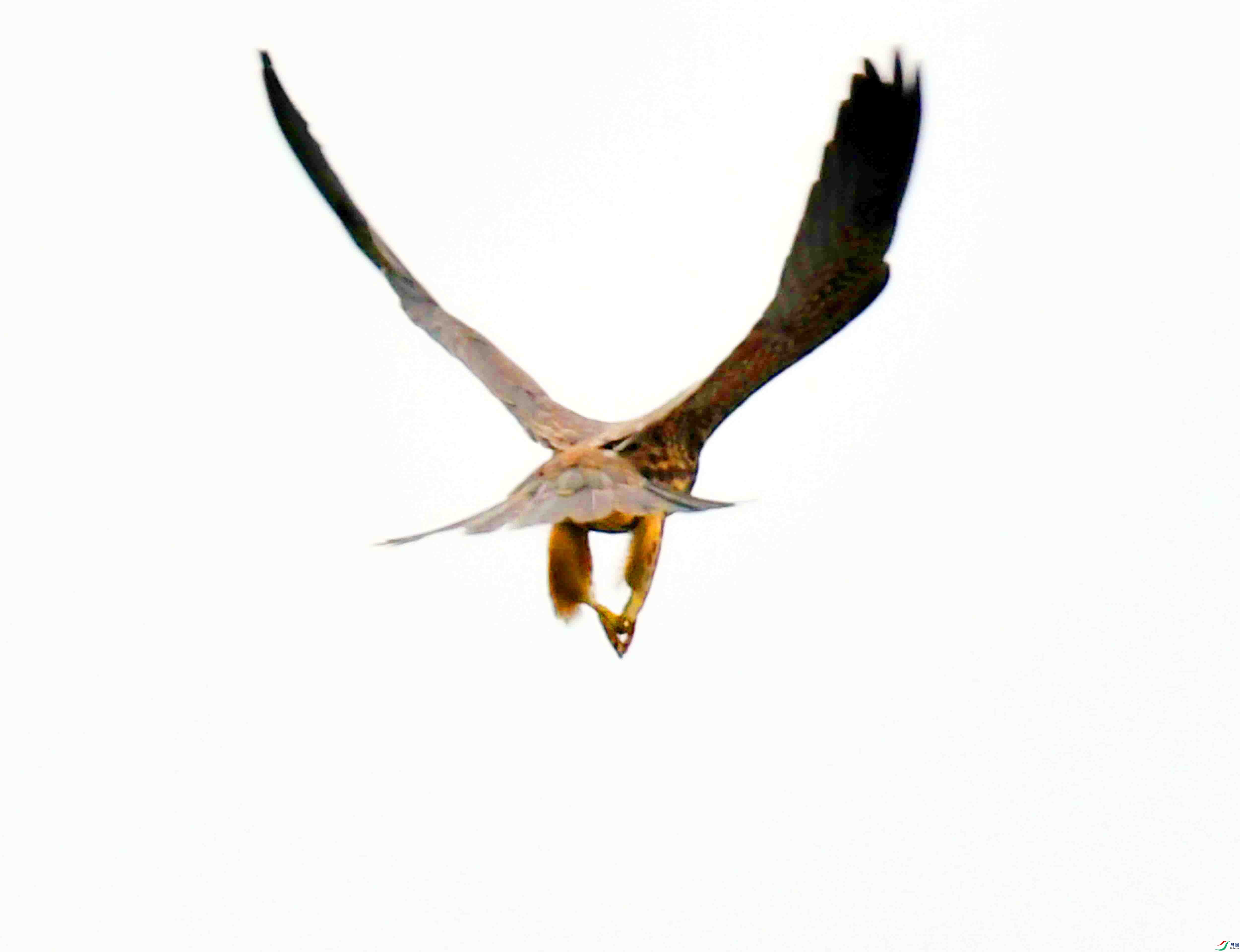 DSC_3772.JPG