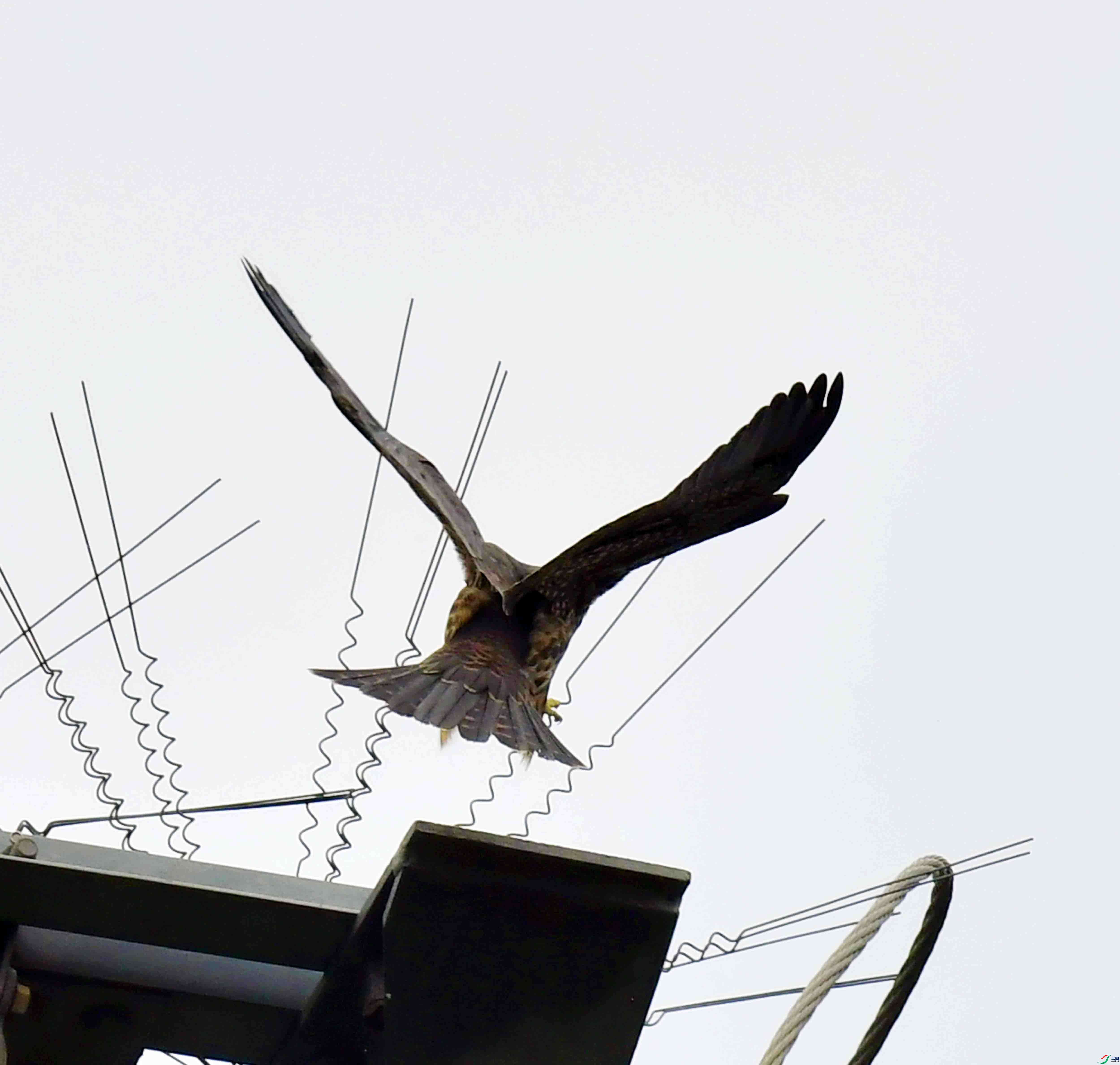 DSC_3730.JPG
