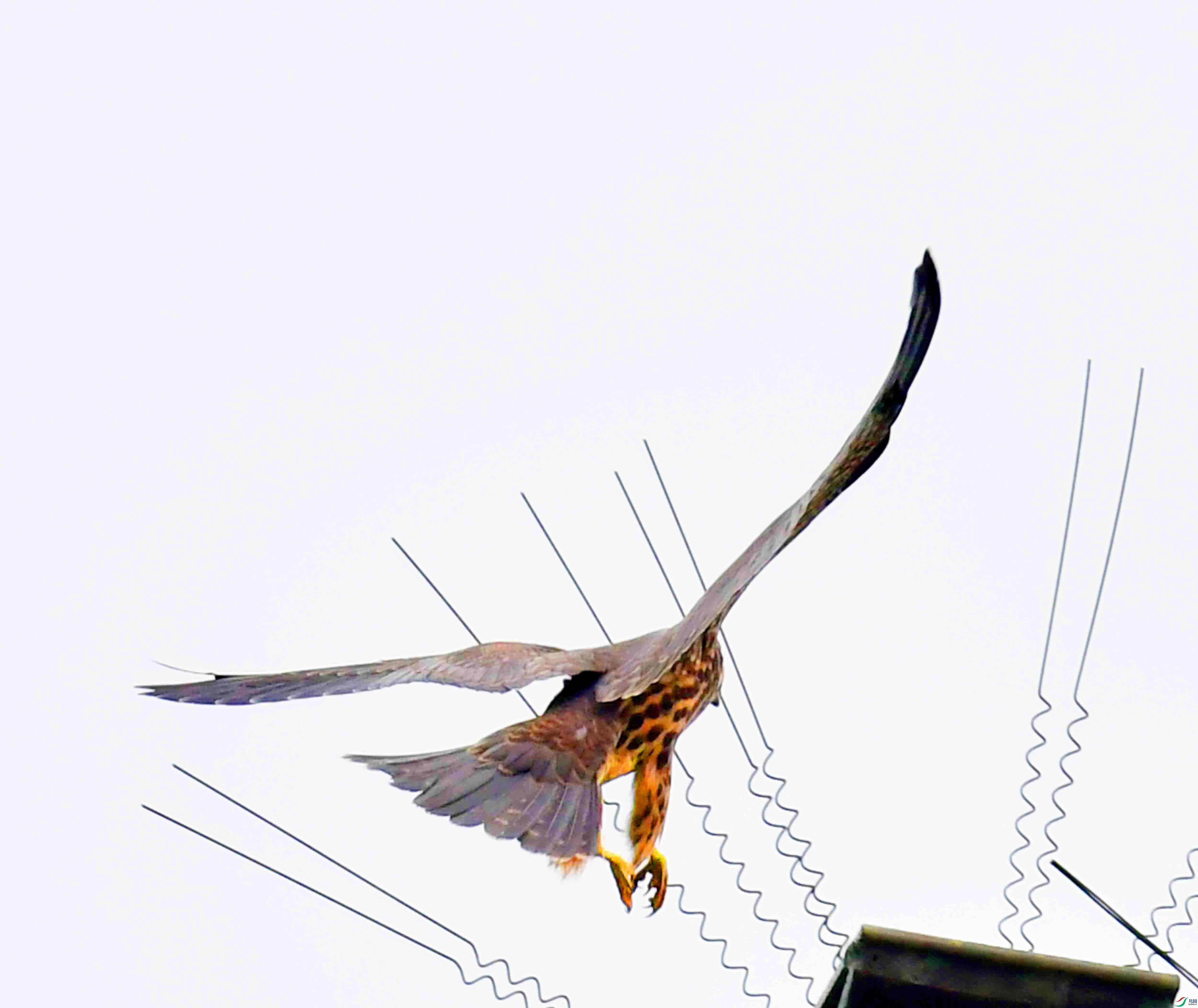 DSC_3789.JPG