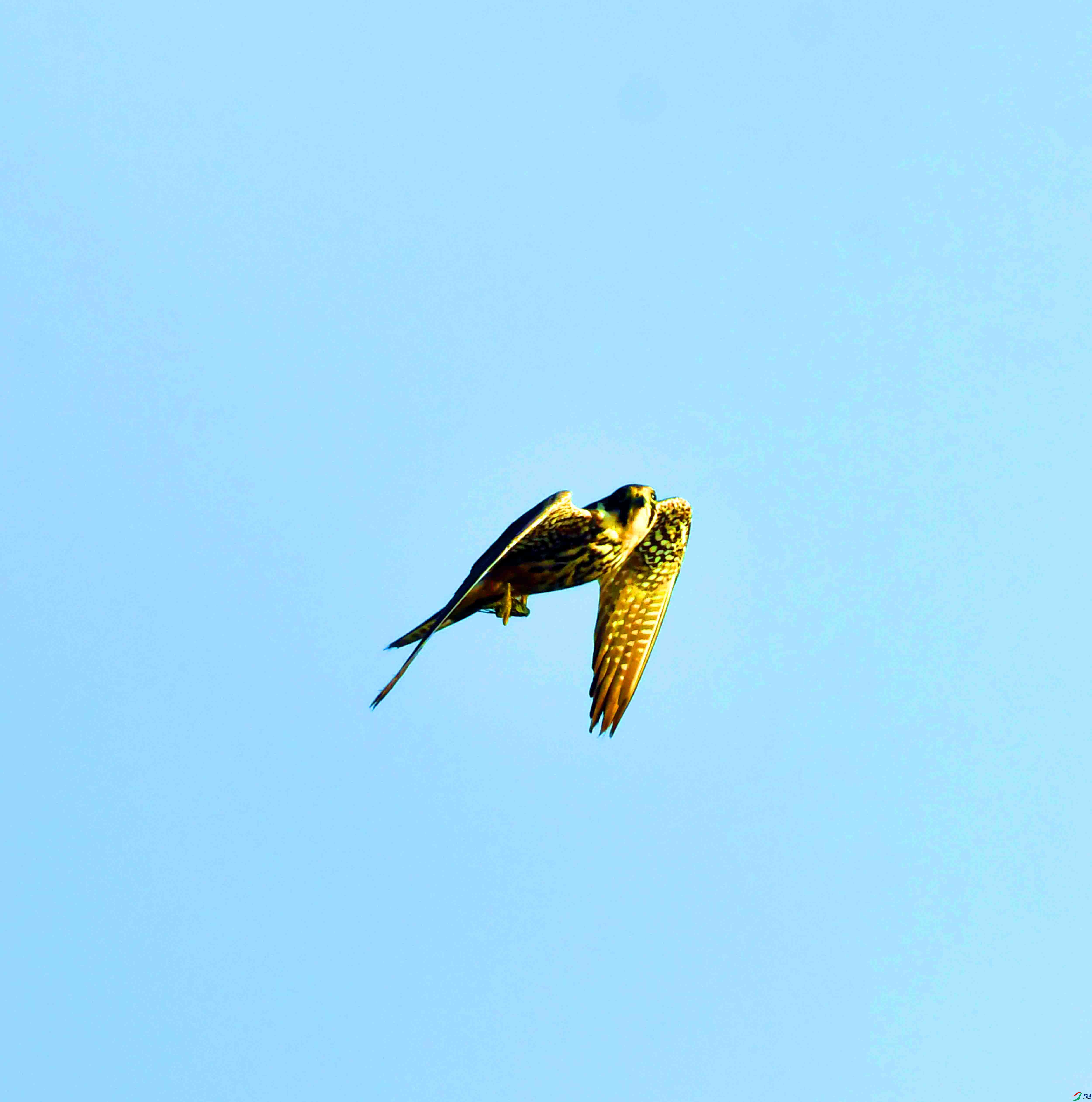 DSC_3797.JPG