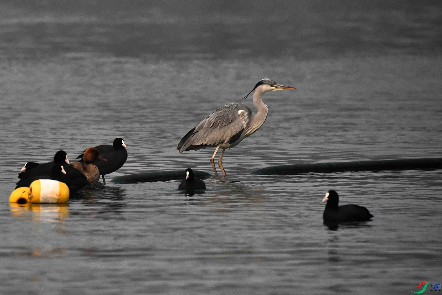 DSC_5506.JPG