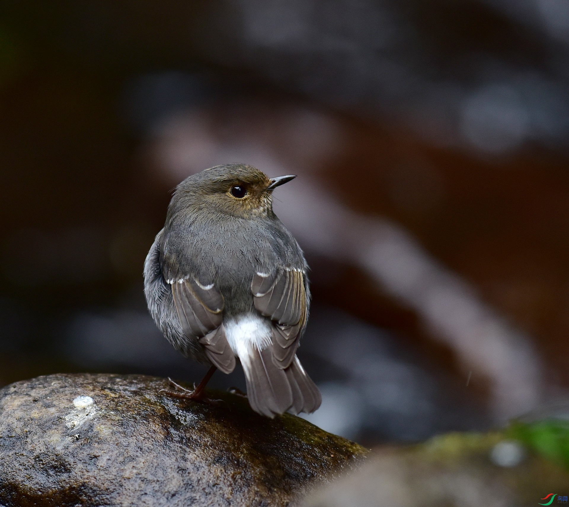 D8I_0855.jpg