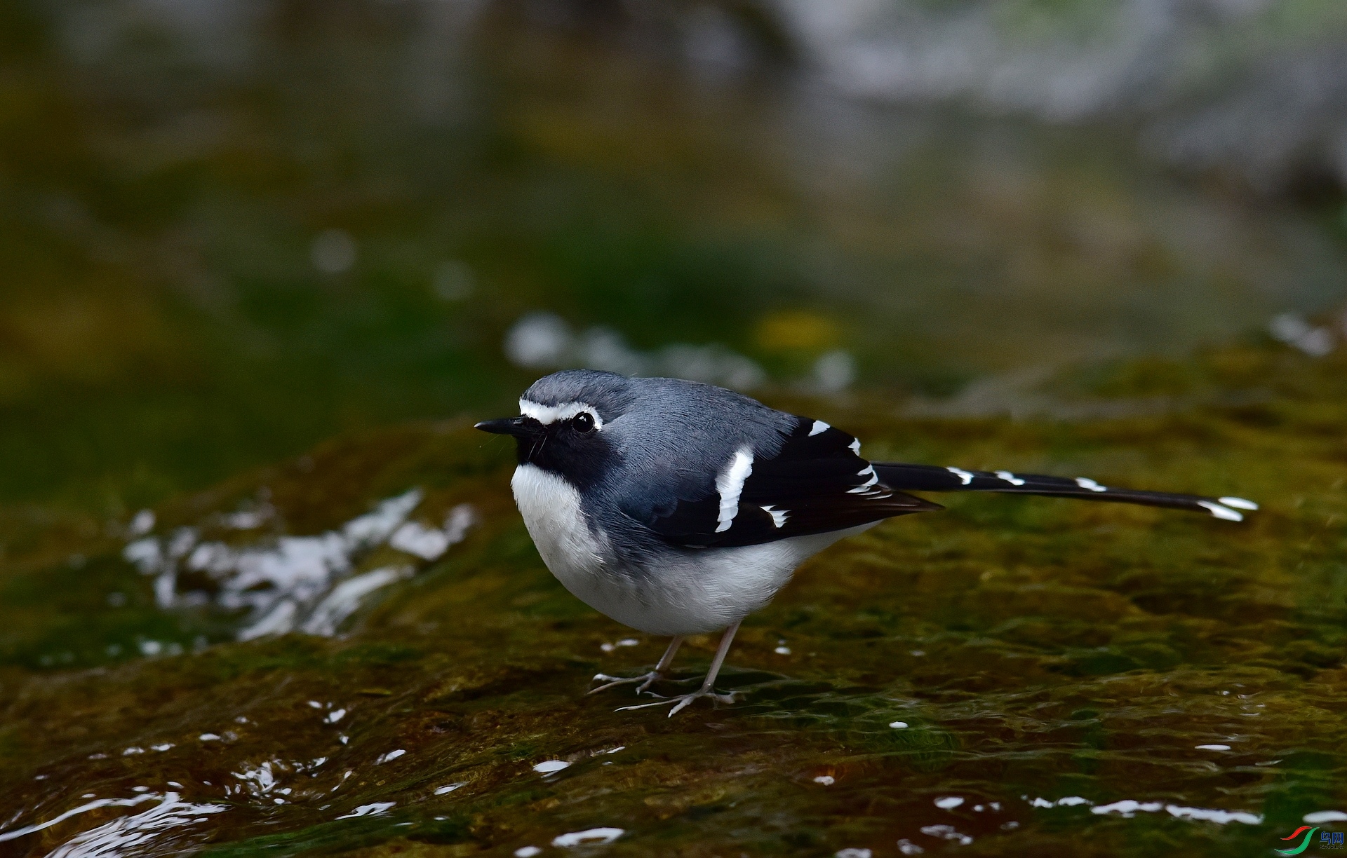 D8I_0863.jpg