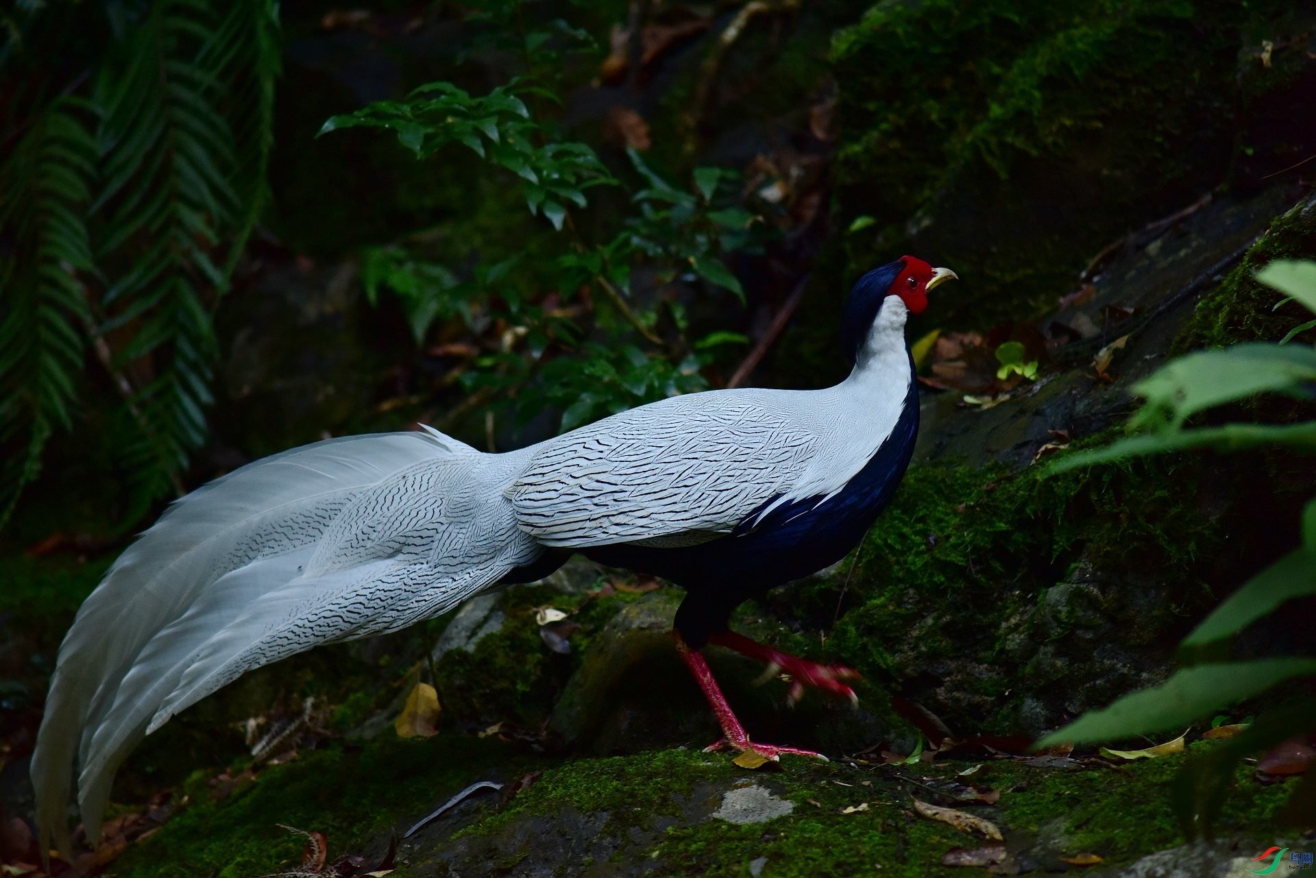 D8I_5750.jpg