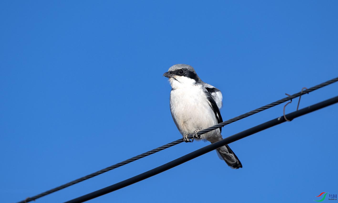 DSC_3167 ����.jpg