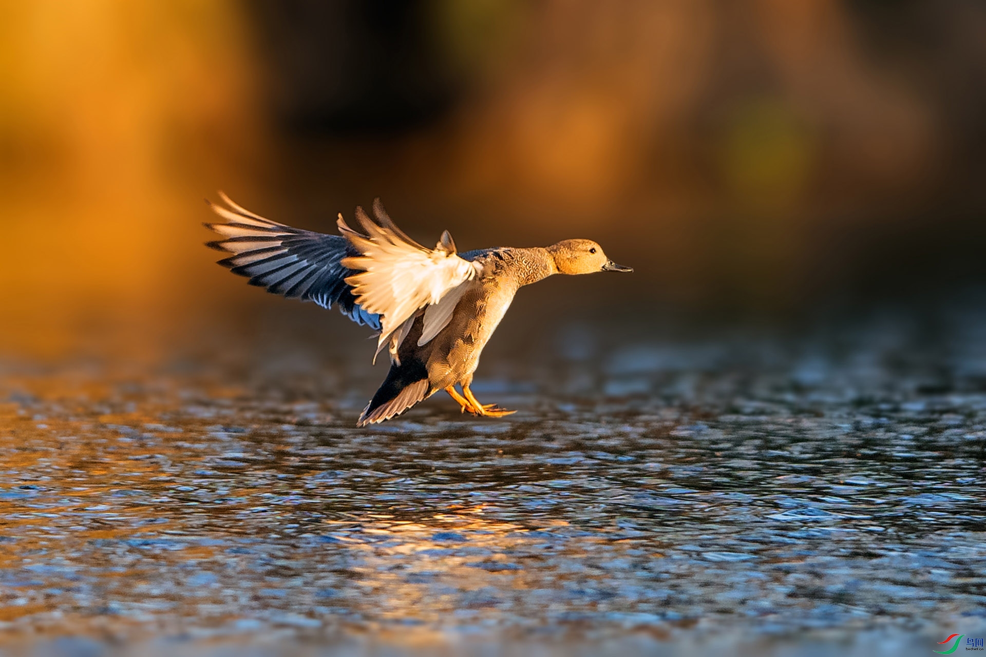 ��_AUU8409��Ϧ����(23.1.5)-1.jpg