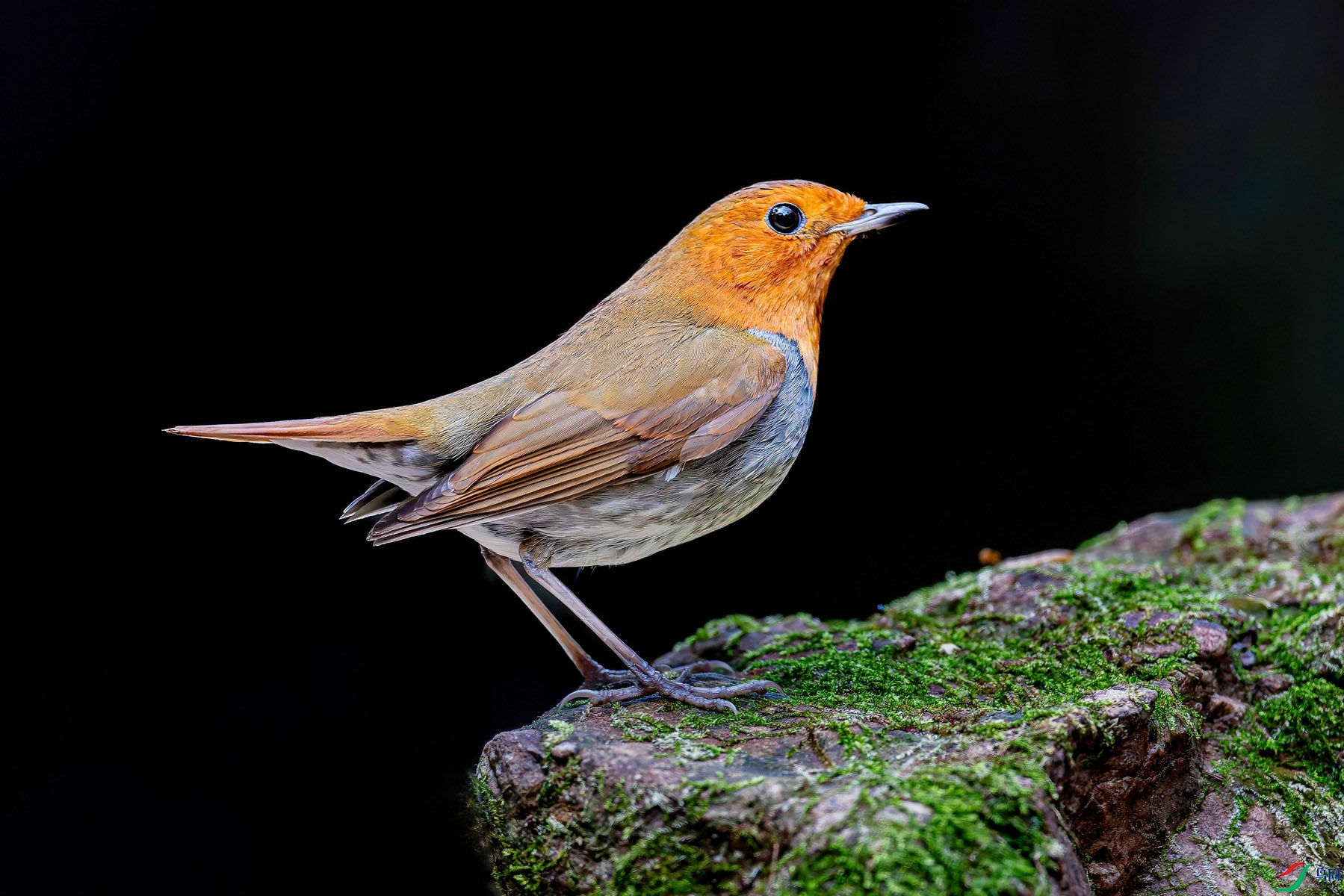 �ձ����08_2 ����.jpg