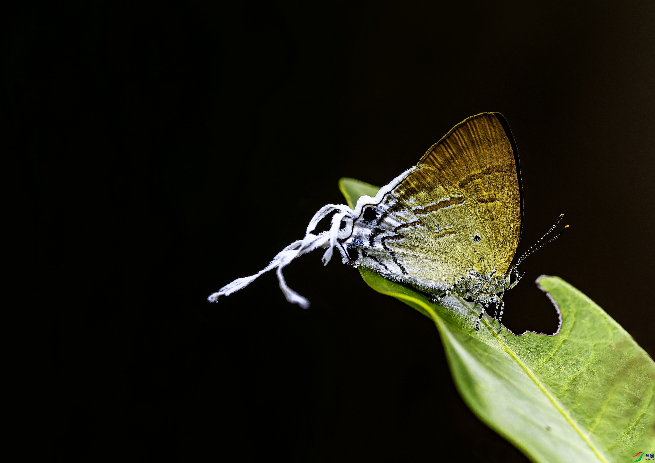 ��ҵ� (257)-1.jpg