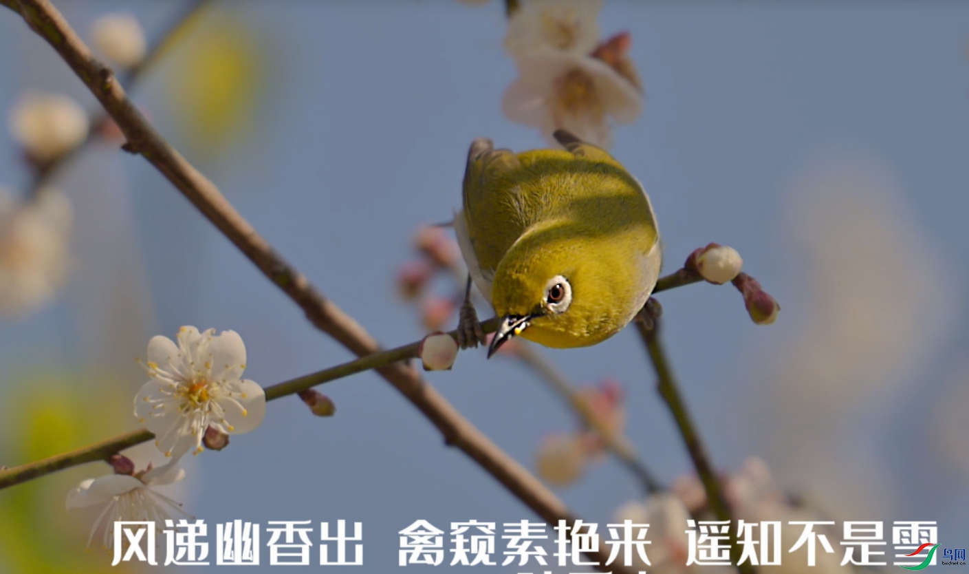 {80678D4D-6E36-4C41-A479-0DCADAAE3327} ����.jpg