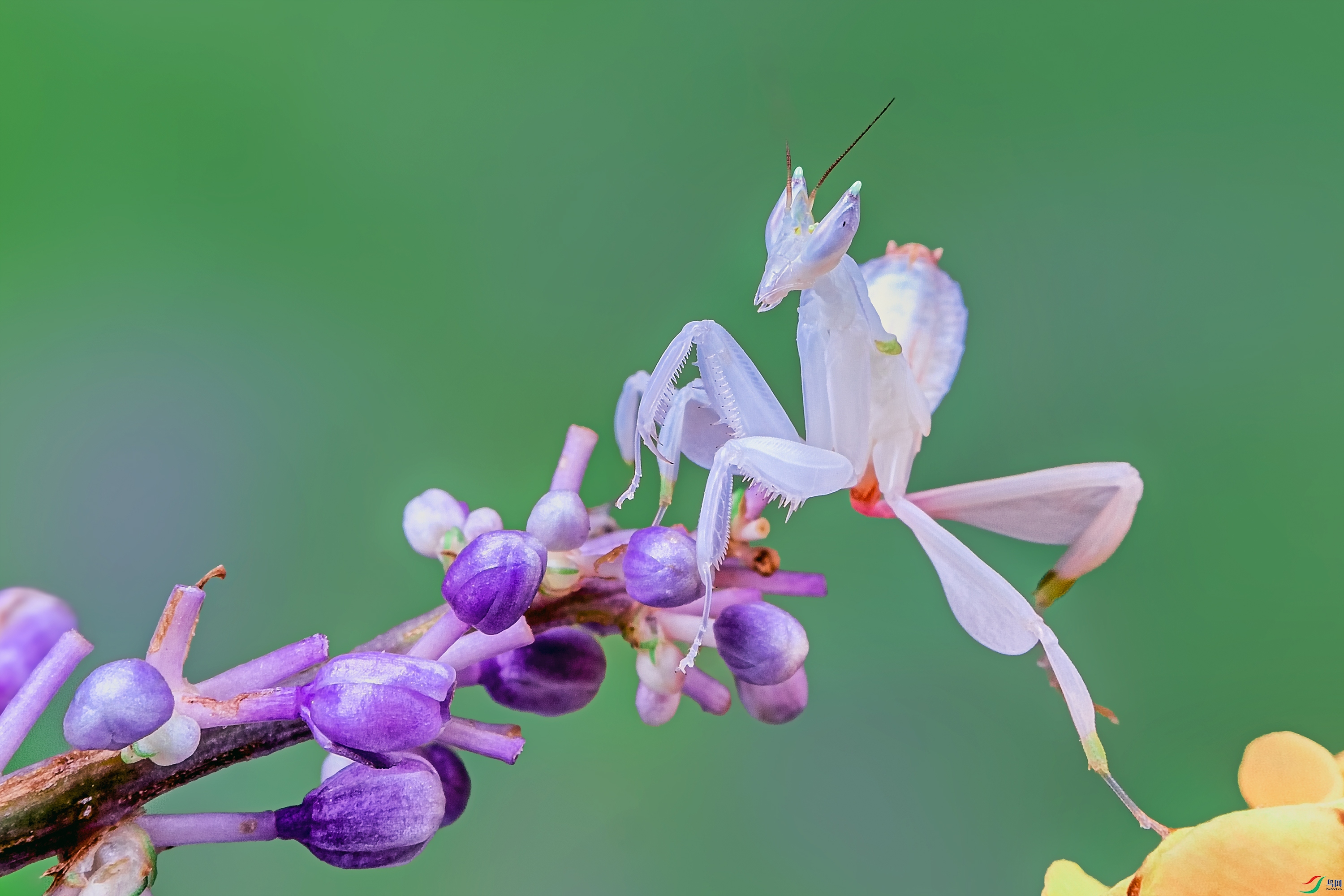 _S8A0142n.jpg