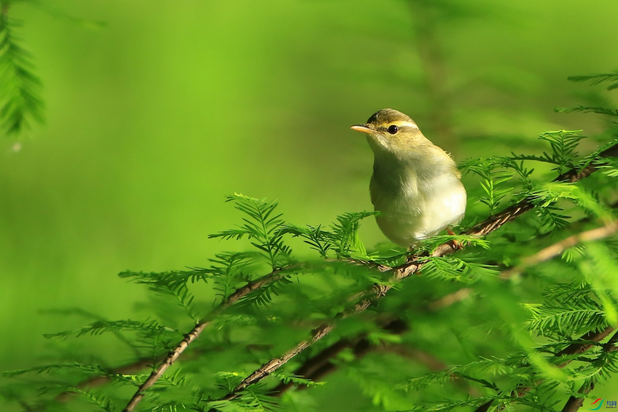 1111     ��ü��ݺ   0F4A9078.jpg