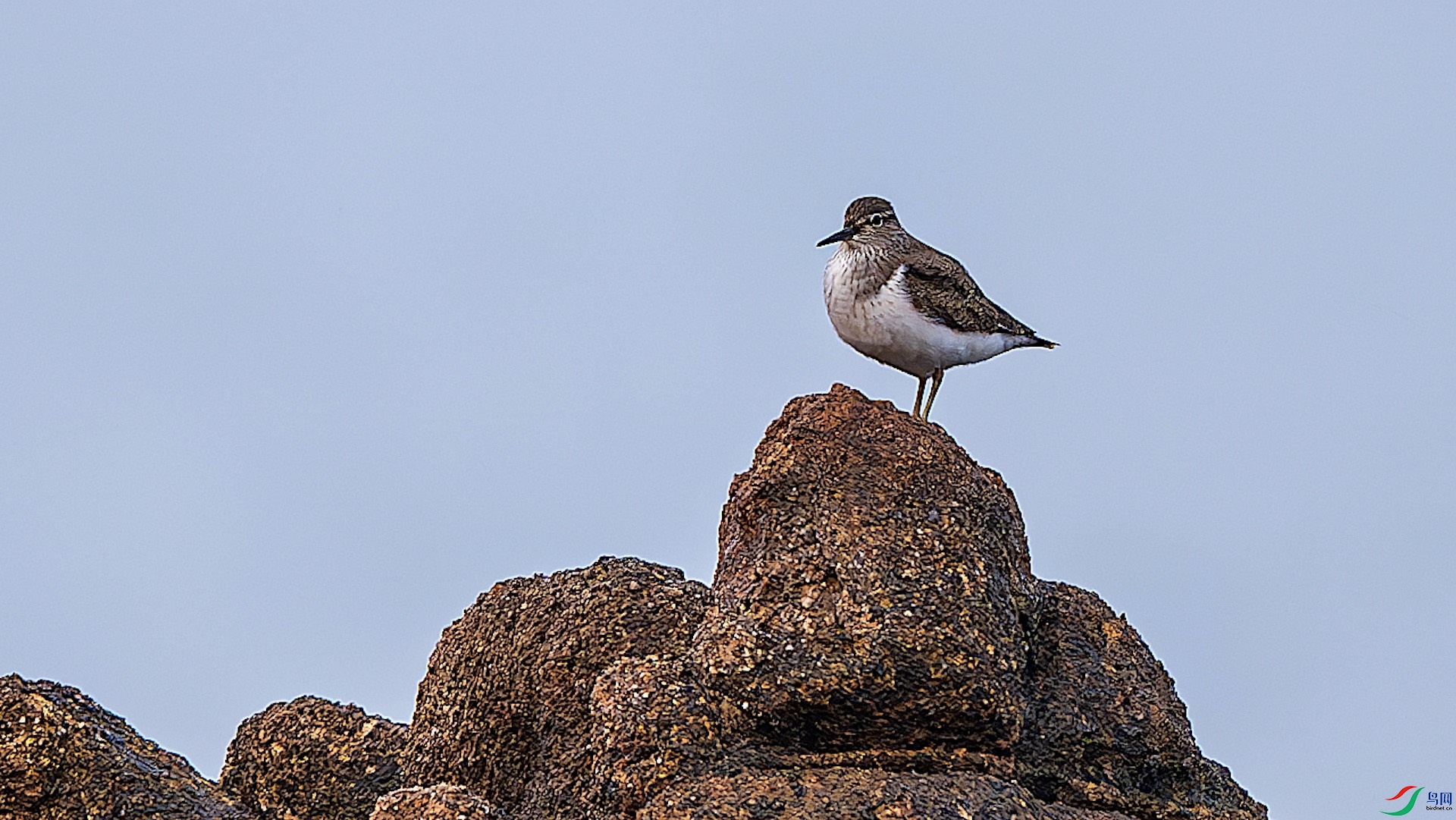 1_XXL5428-����ǿ-NR ����.jpeg