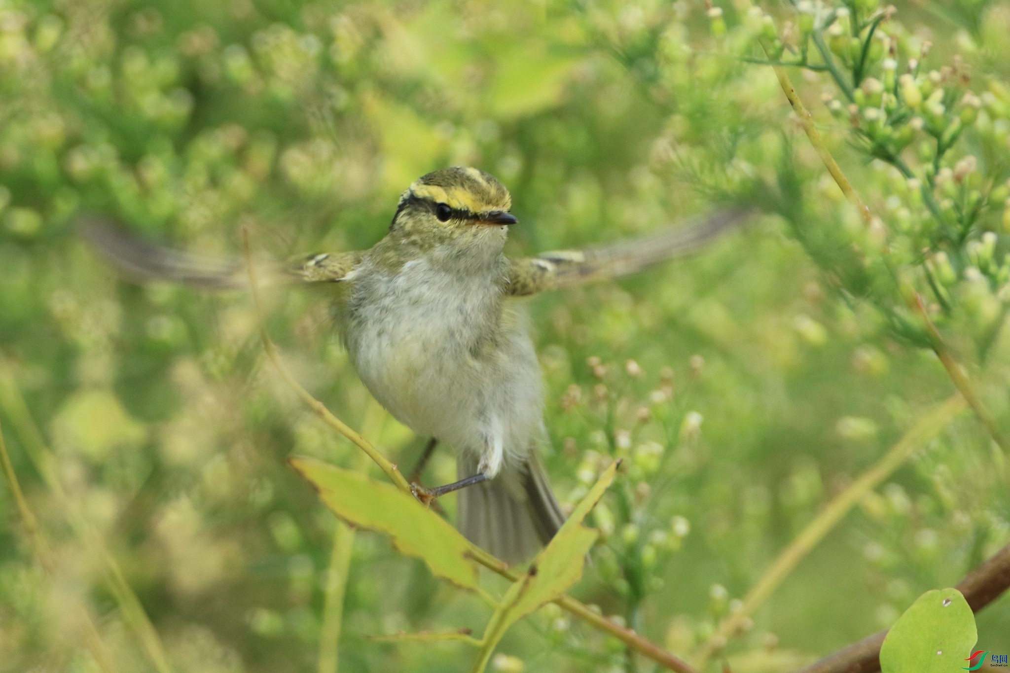 6     ������ݺ  �� 0F4A6837.jpg