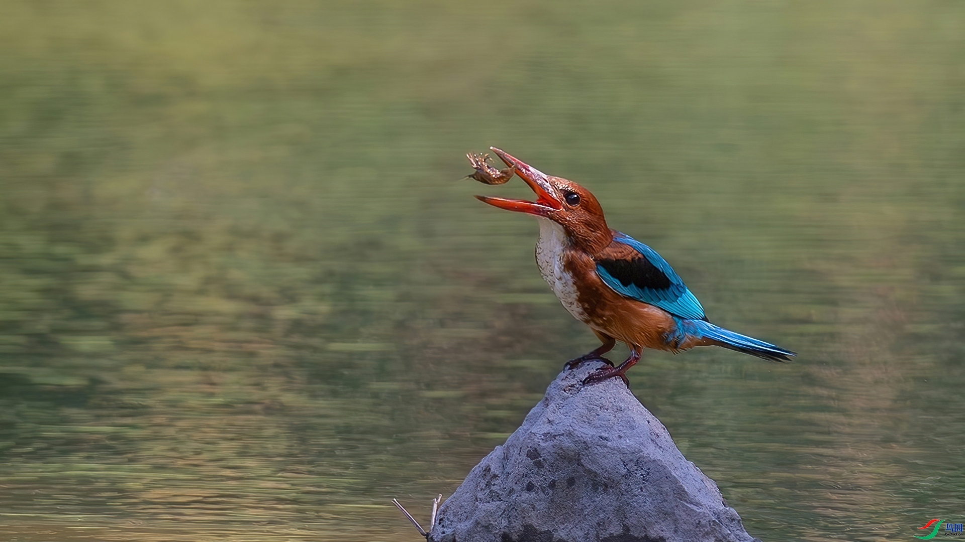 2.8�ƽ�Ҷ��ʦ��Ʒ   ������䡪��ƤƤϺ ��ף���ٻ����Ѿ�����.jpg