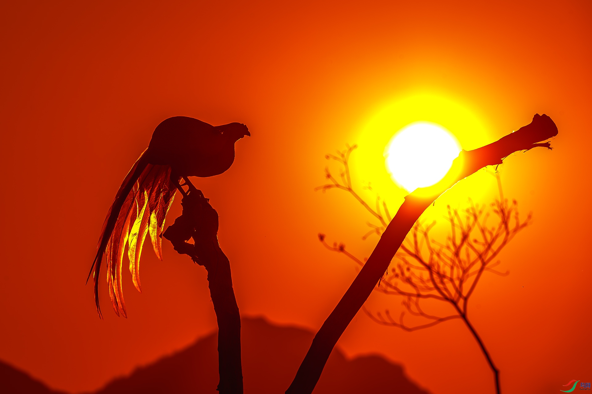 20250209���նԻ� .jpg