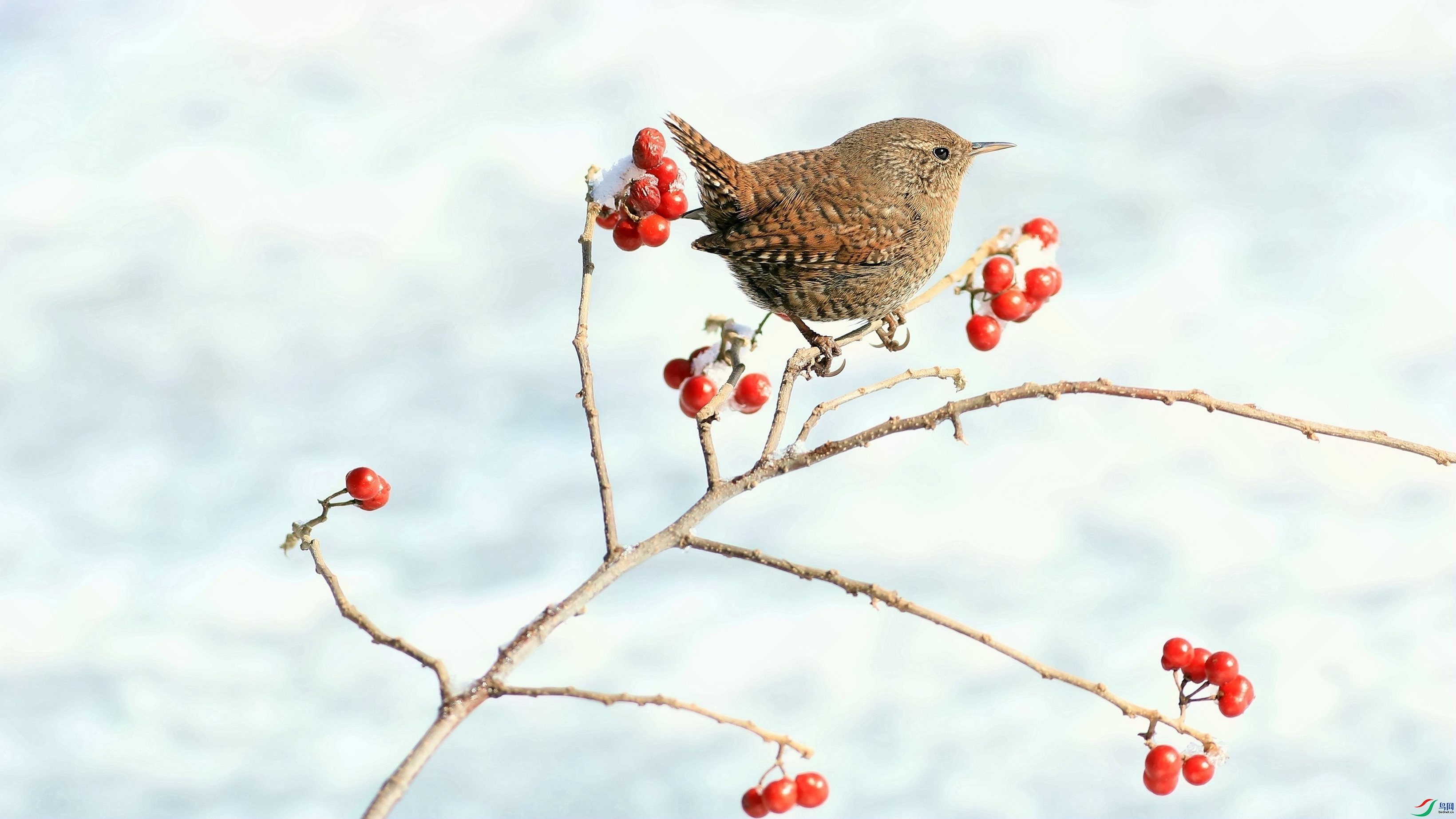 ��������������֮��