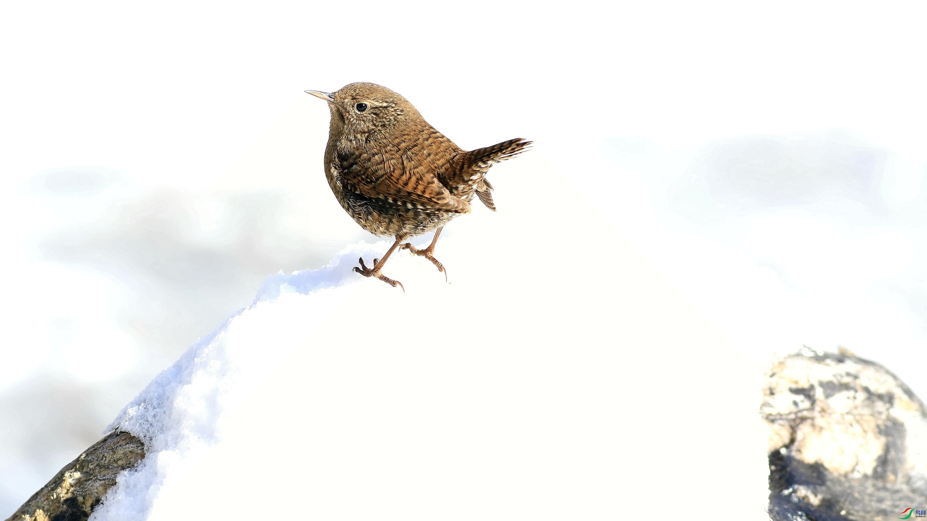 ��������������֮��