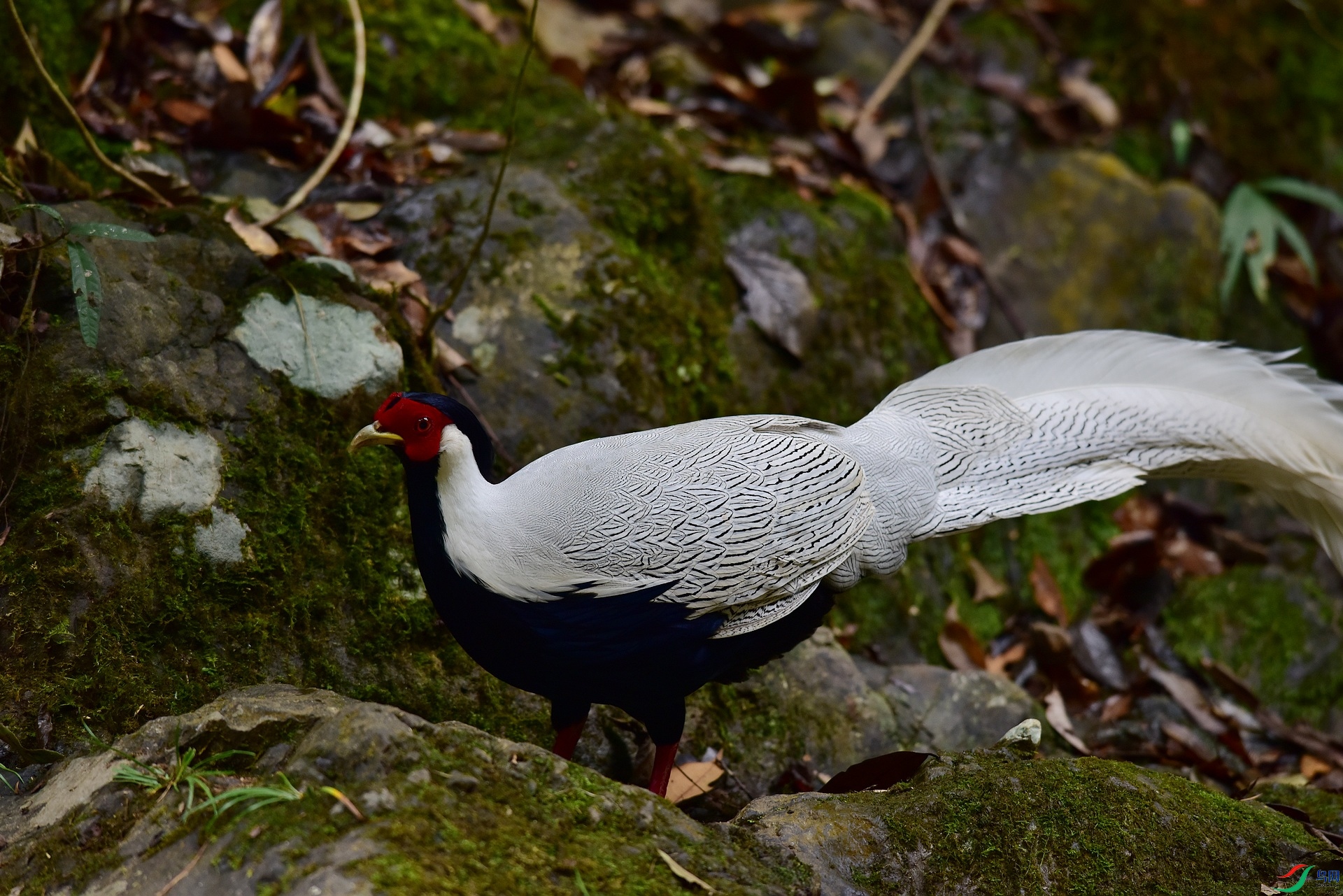 D8I_0717.jpg