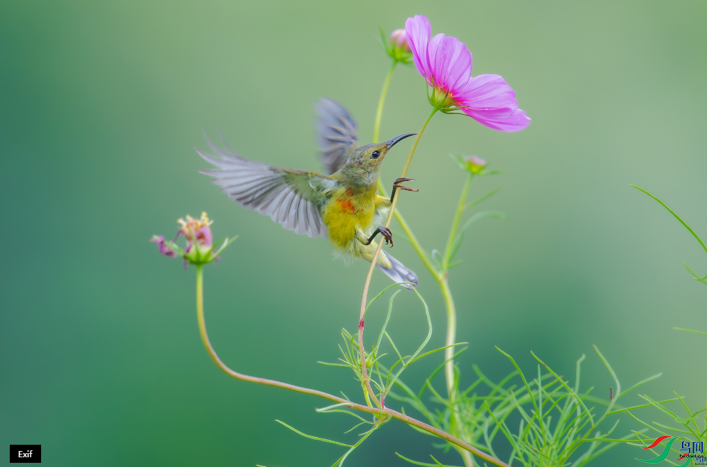 ������С���顷���ٻ����Ѿ�������ɽ���� 8.png
