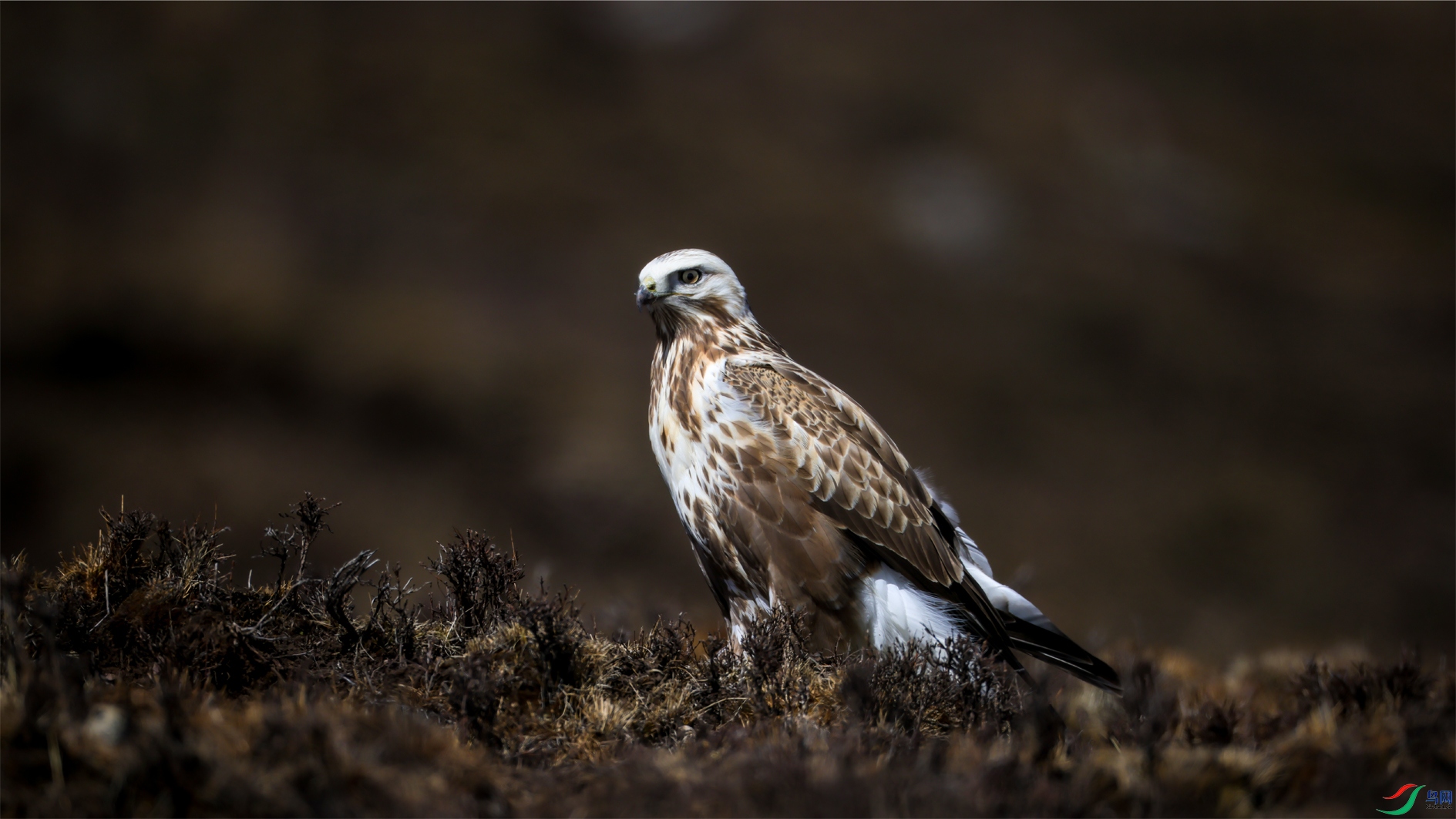 30 �� ����.jpg