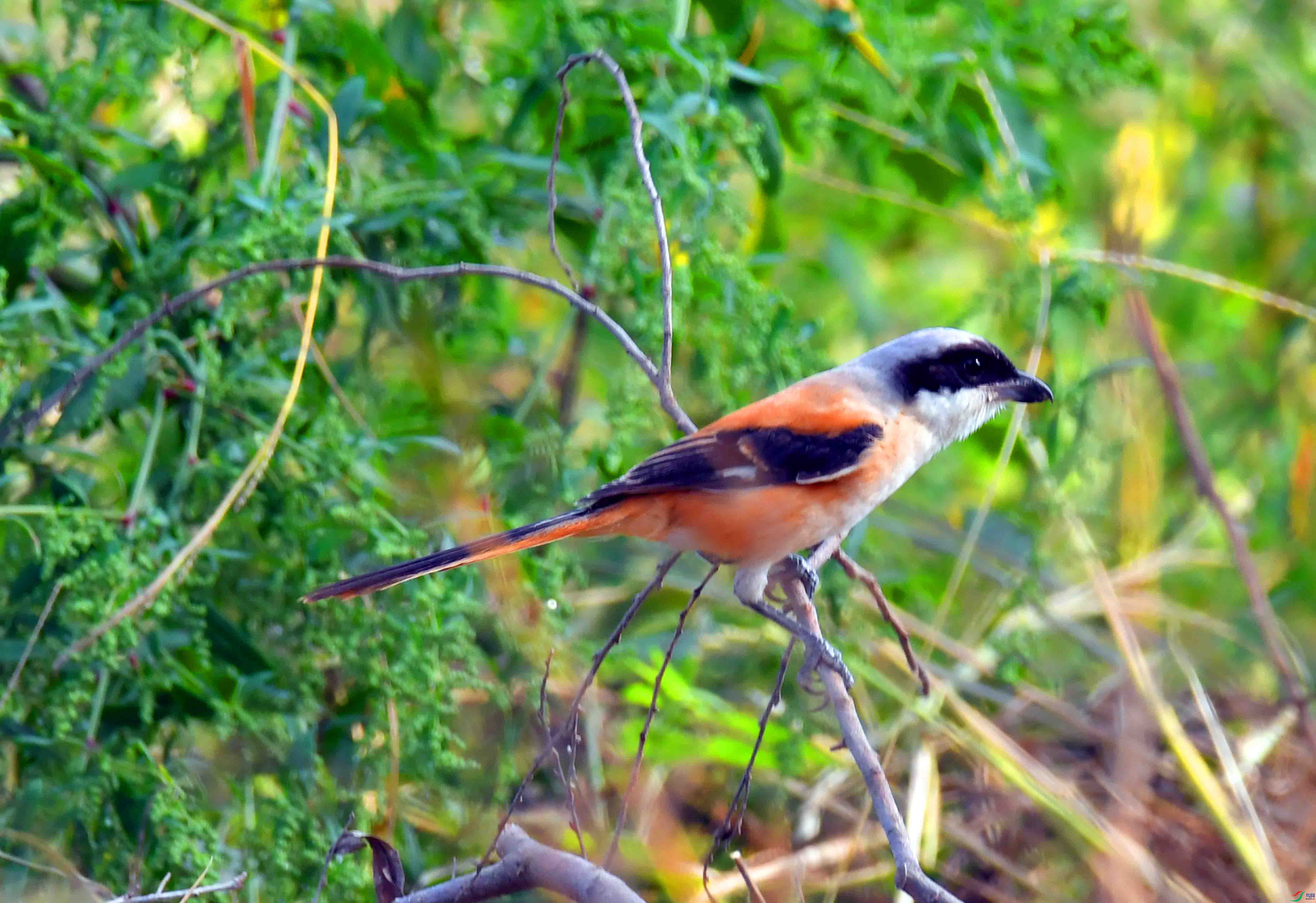 DSC_5167.JPG