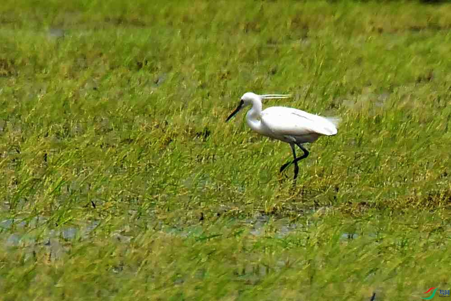 DSC_7307.JPG