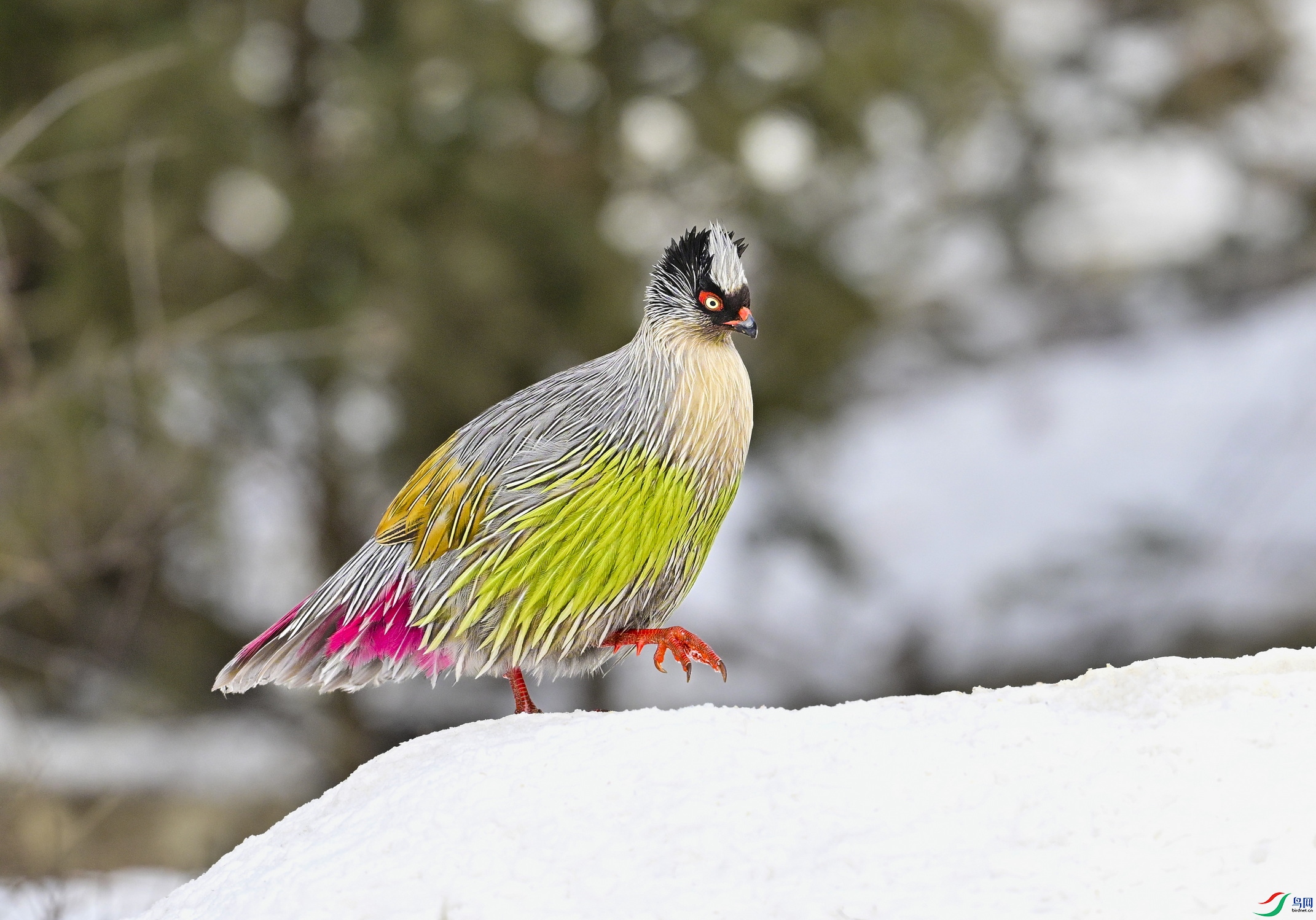 _DSC9503 ����x.jpg