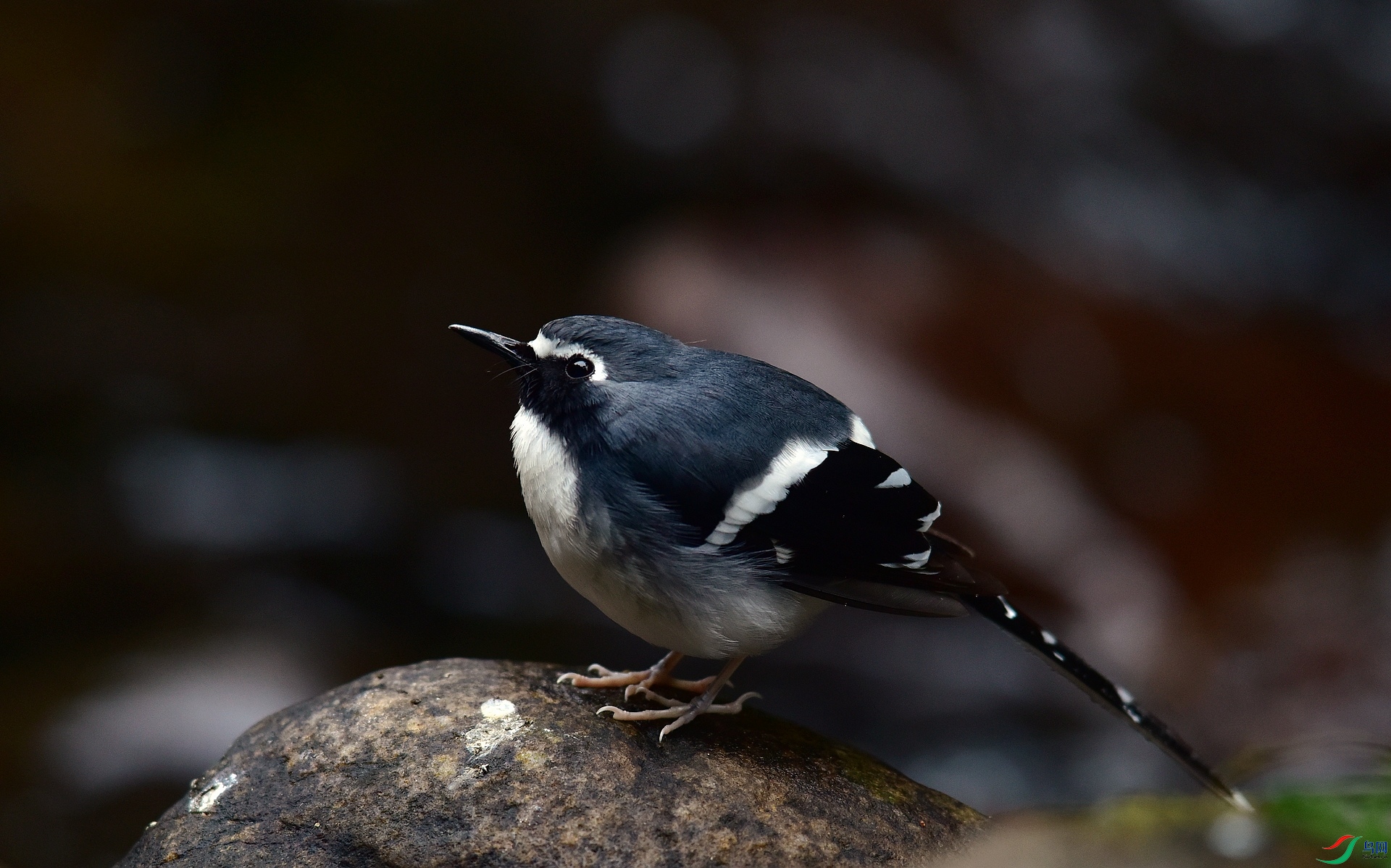 D8I_0976.jpg