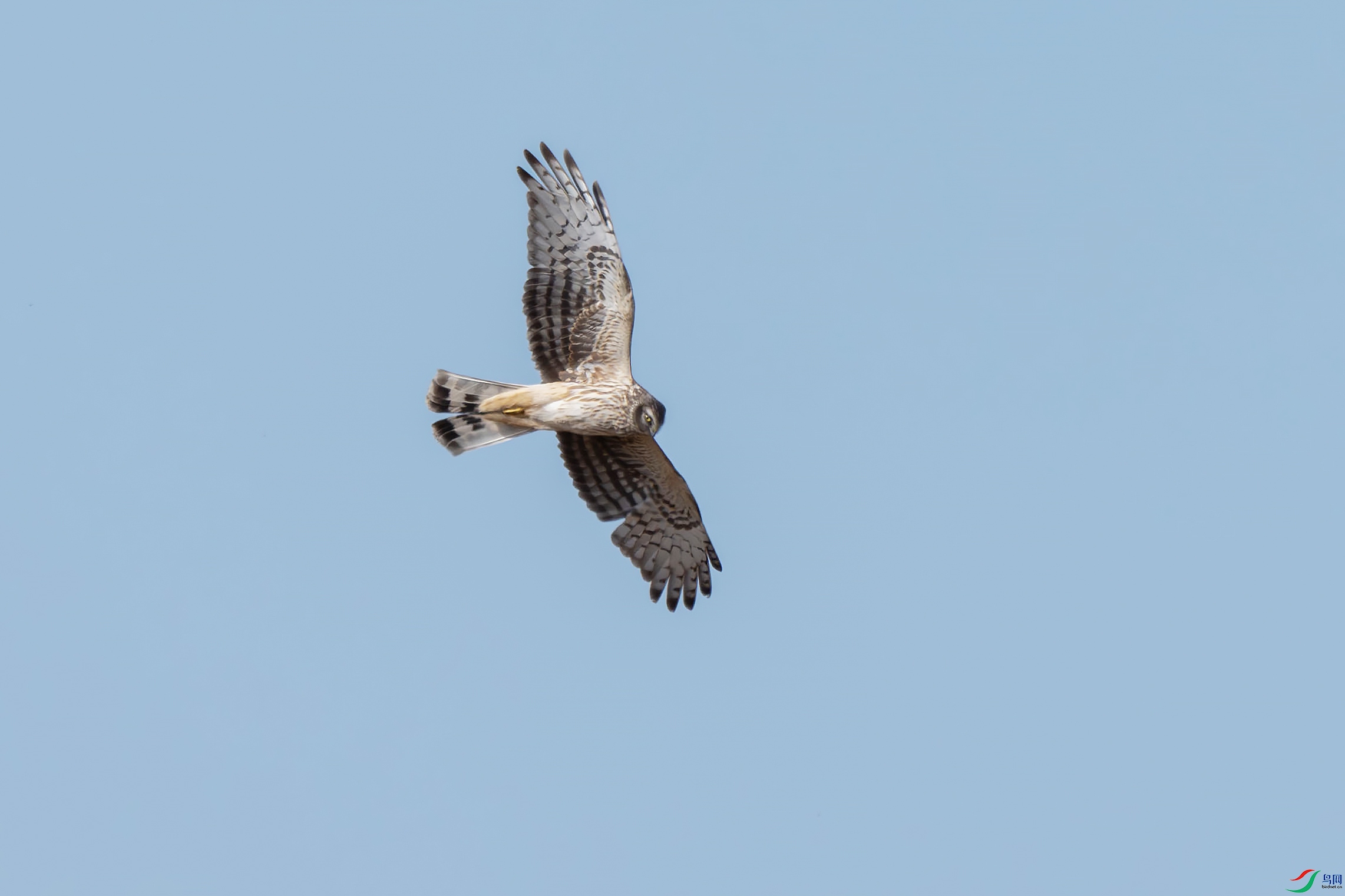 DSC_6373.jpg