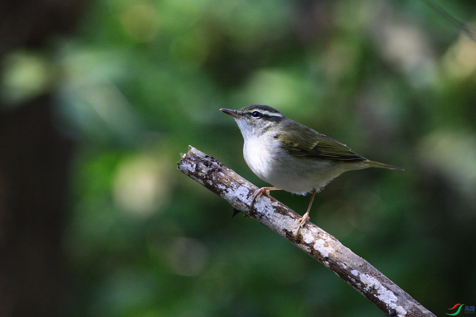 4    ������ݺ  _MG_4944.jpg