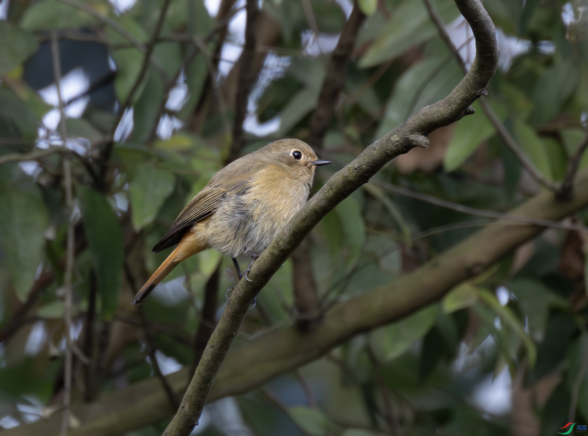 2I1A9626-����ǿ-NR ����.jpg