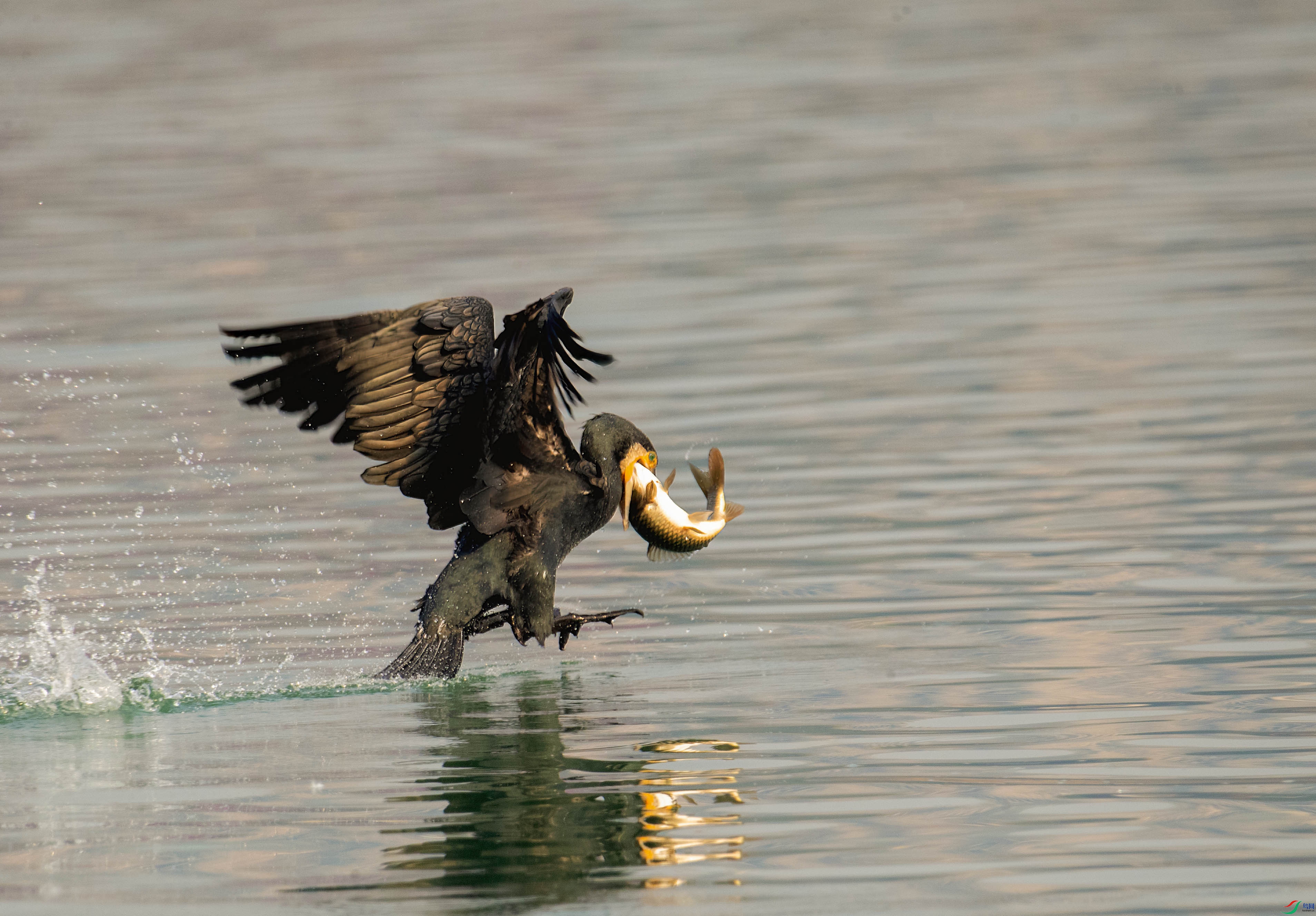 A45I2028 ����.jpg