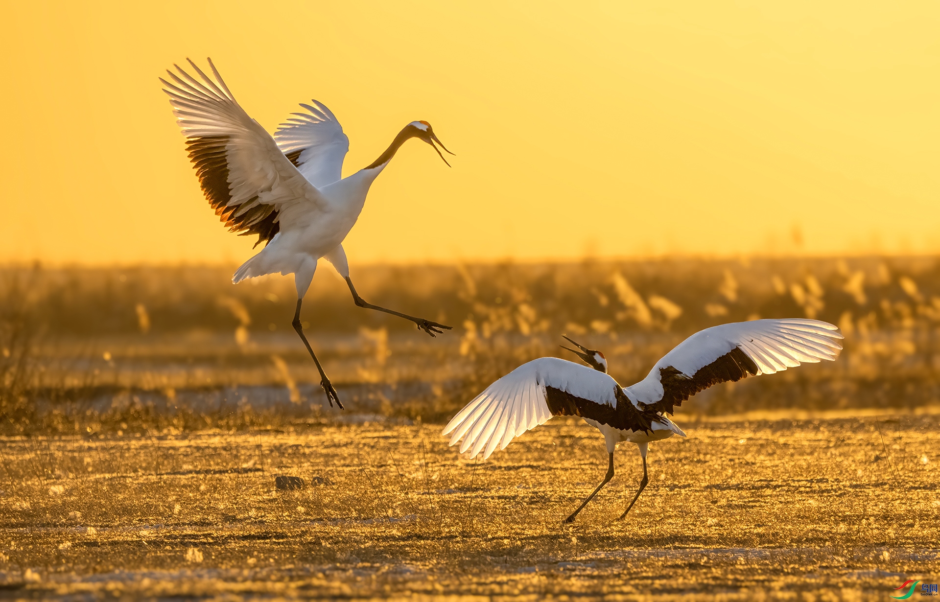 DSC02619 ���� 2.jpg