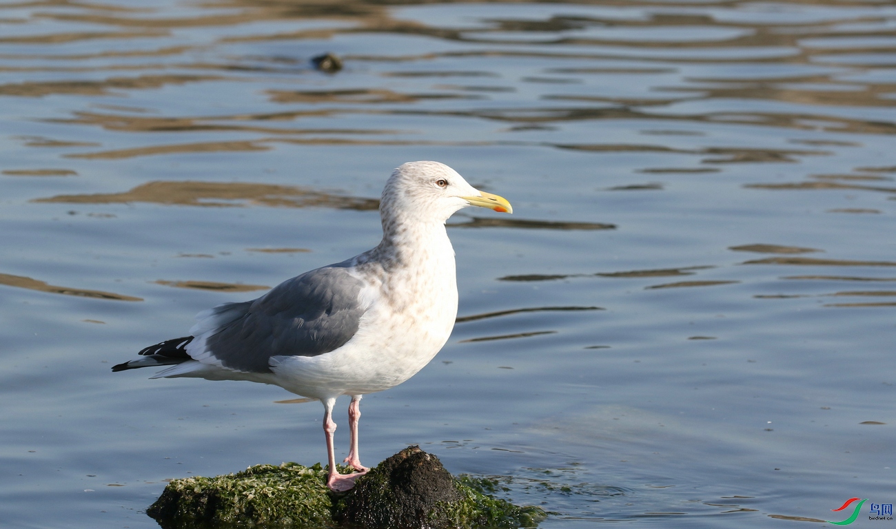 DSC20250209101.jpg