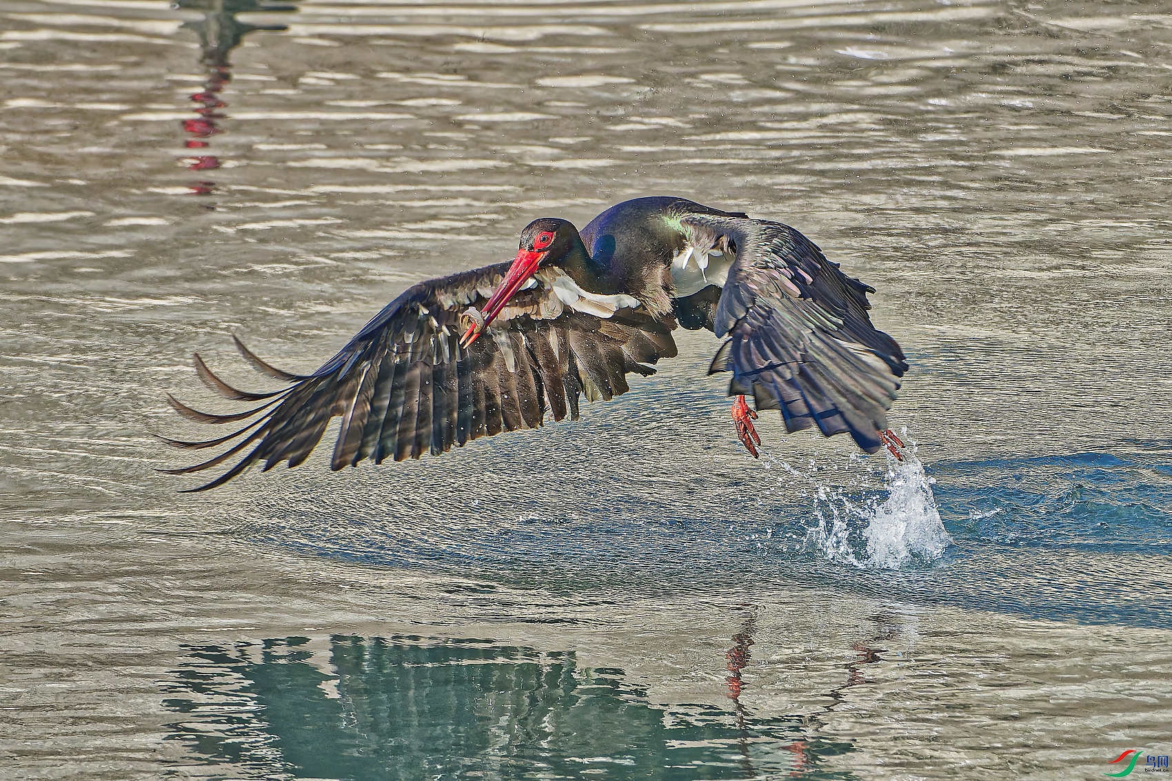DSC_7330.jpg