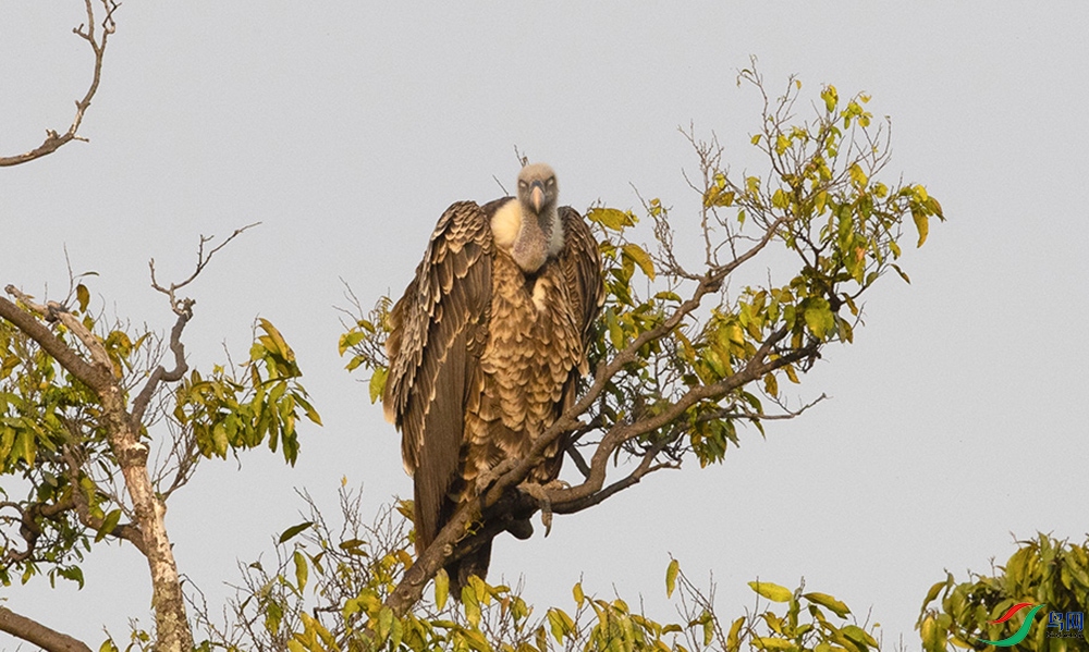 ����ͺ�� (9).jpg