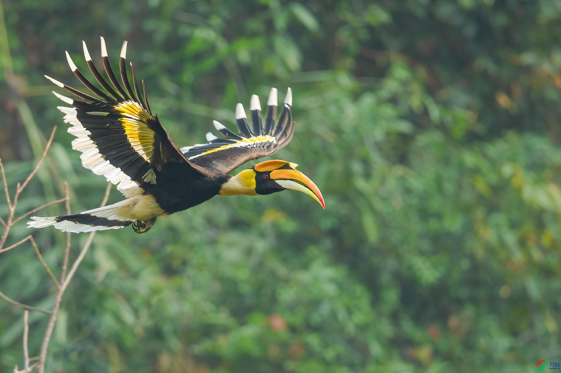 a_71437-1.jpg