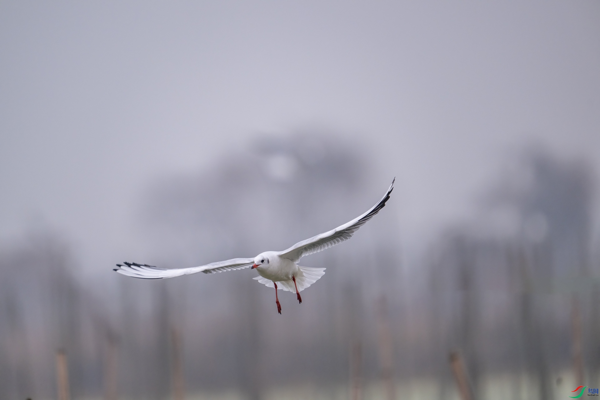 DSC_3451-1.jpg