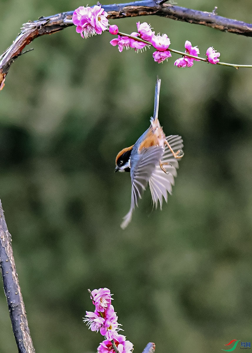DSC_1943.jpg