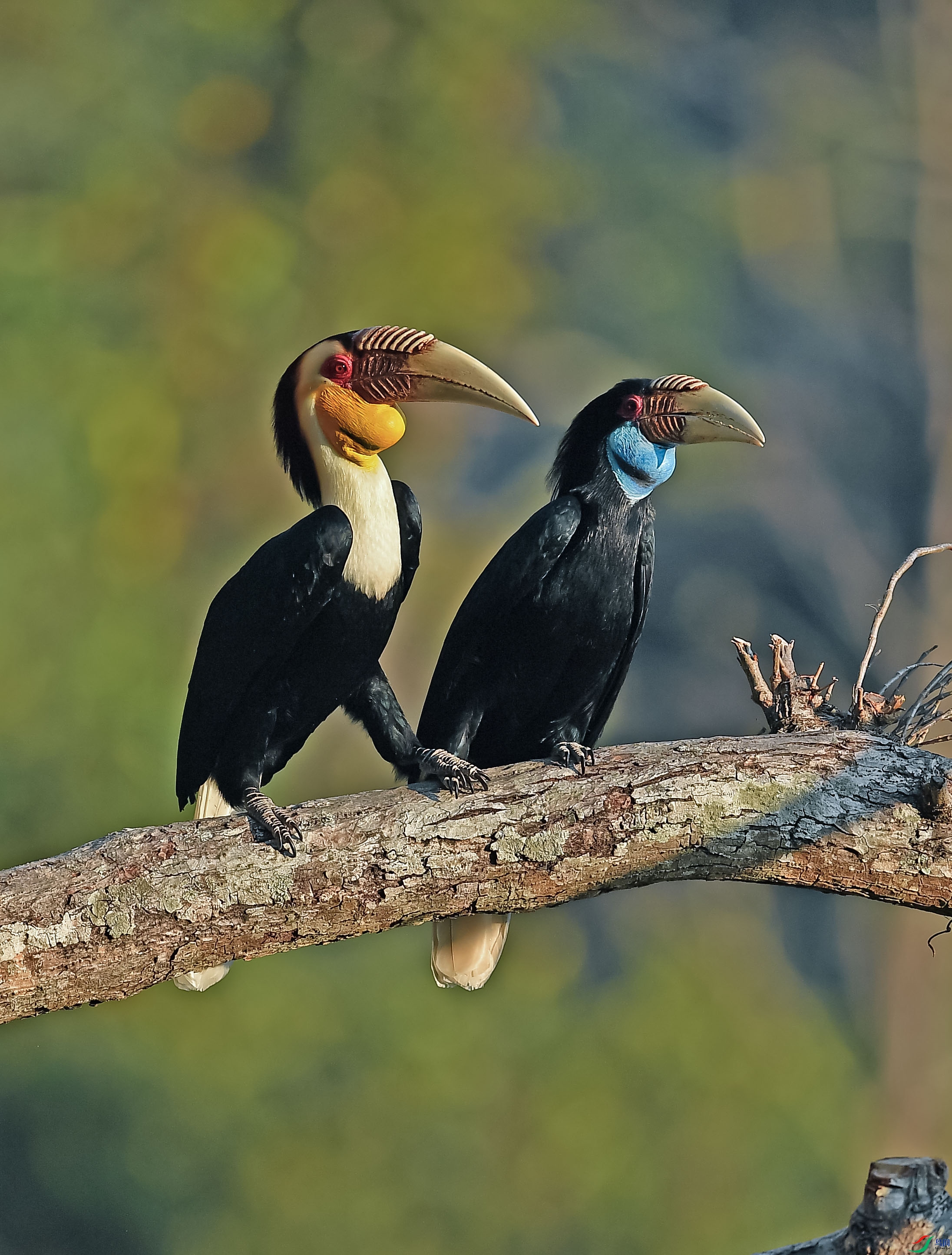 ����Ϭ�����ͬ��