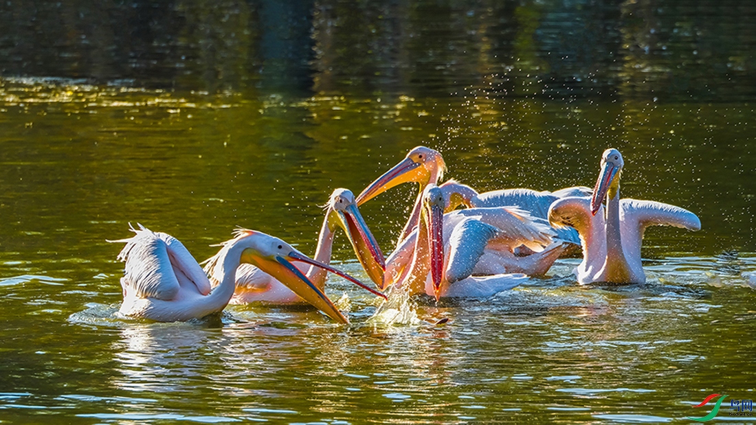 ���һ��Ŀ��.jpg