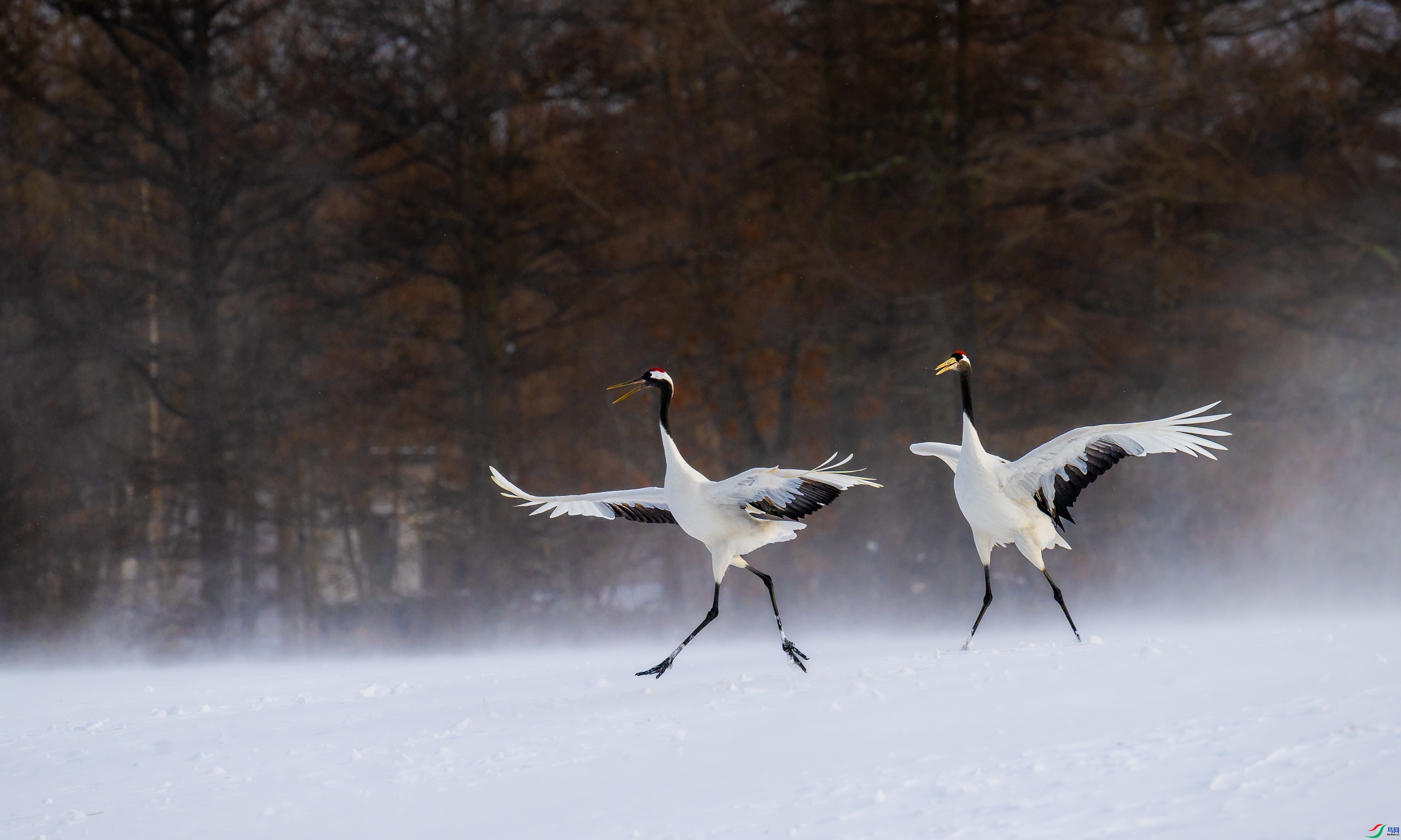 ÿ�ռ��� Я�ֹ��� ���� �������� չʾ.jpg