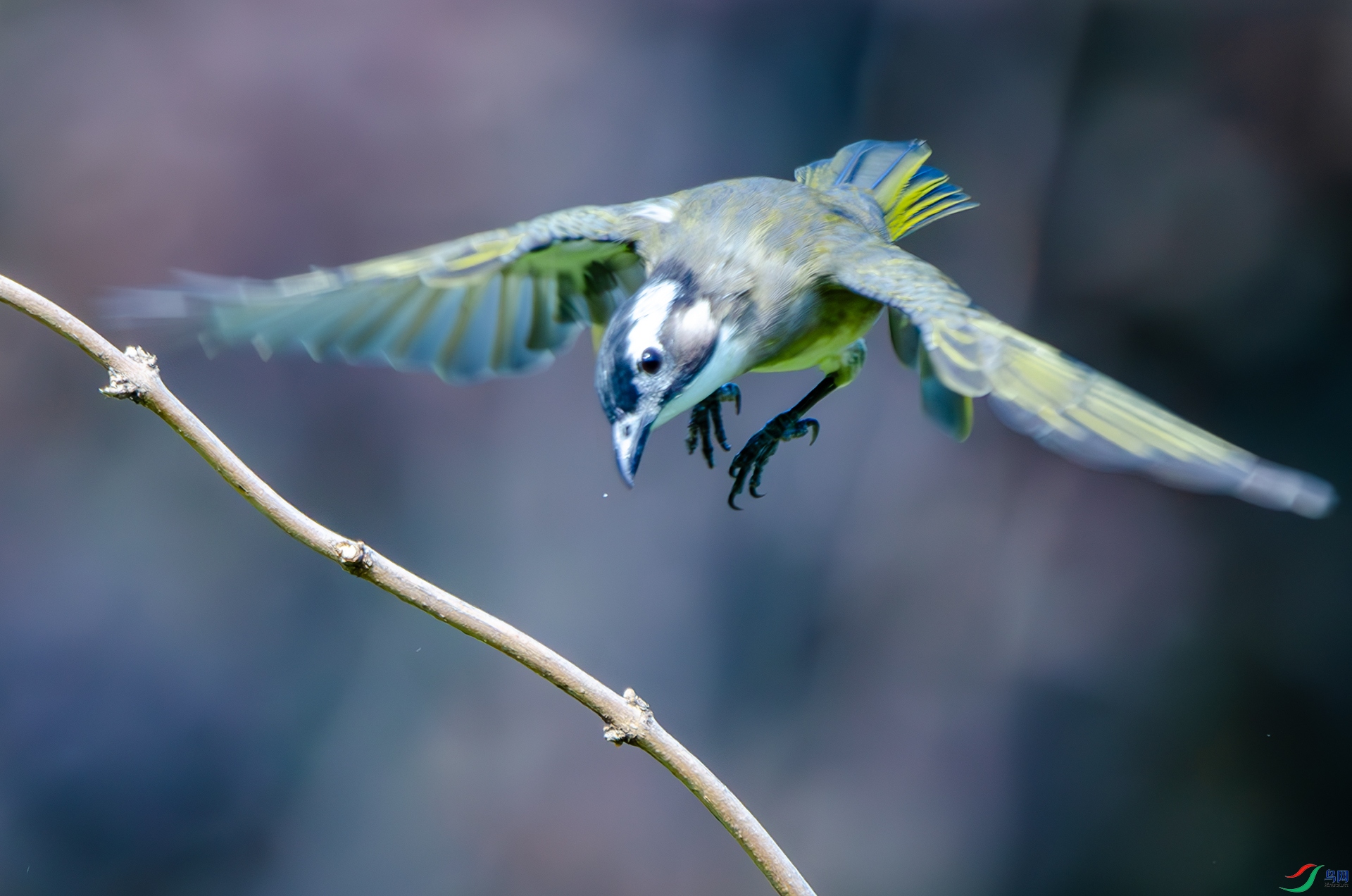 DSC_5027-����ǿ-NR ����.jpg