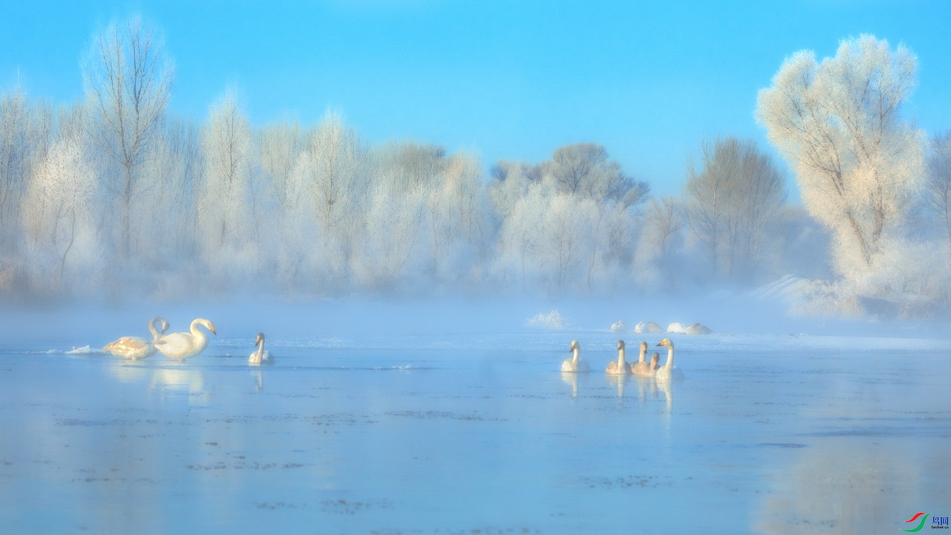 �ɾ� ���� ��־���� ��һ.jpg