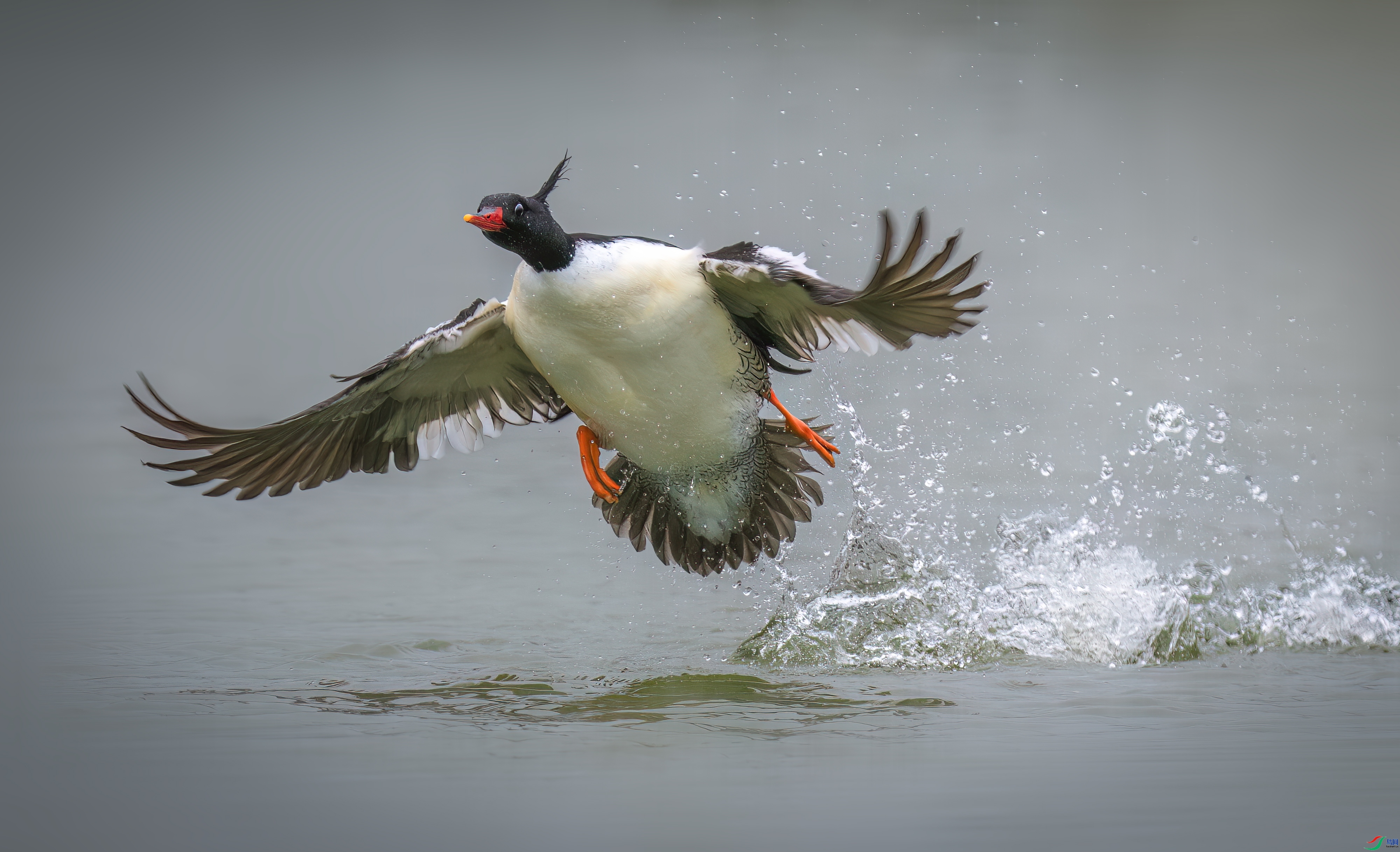 �ڷ� ���� ҽ�Ʒ� ��һ.jpg